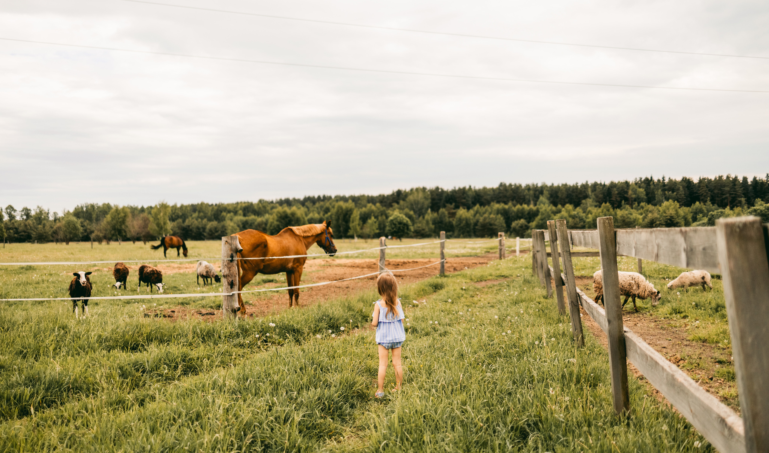 О детстве. Семейный фотограф Москва Калининград СПб