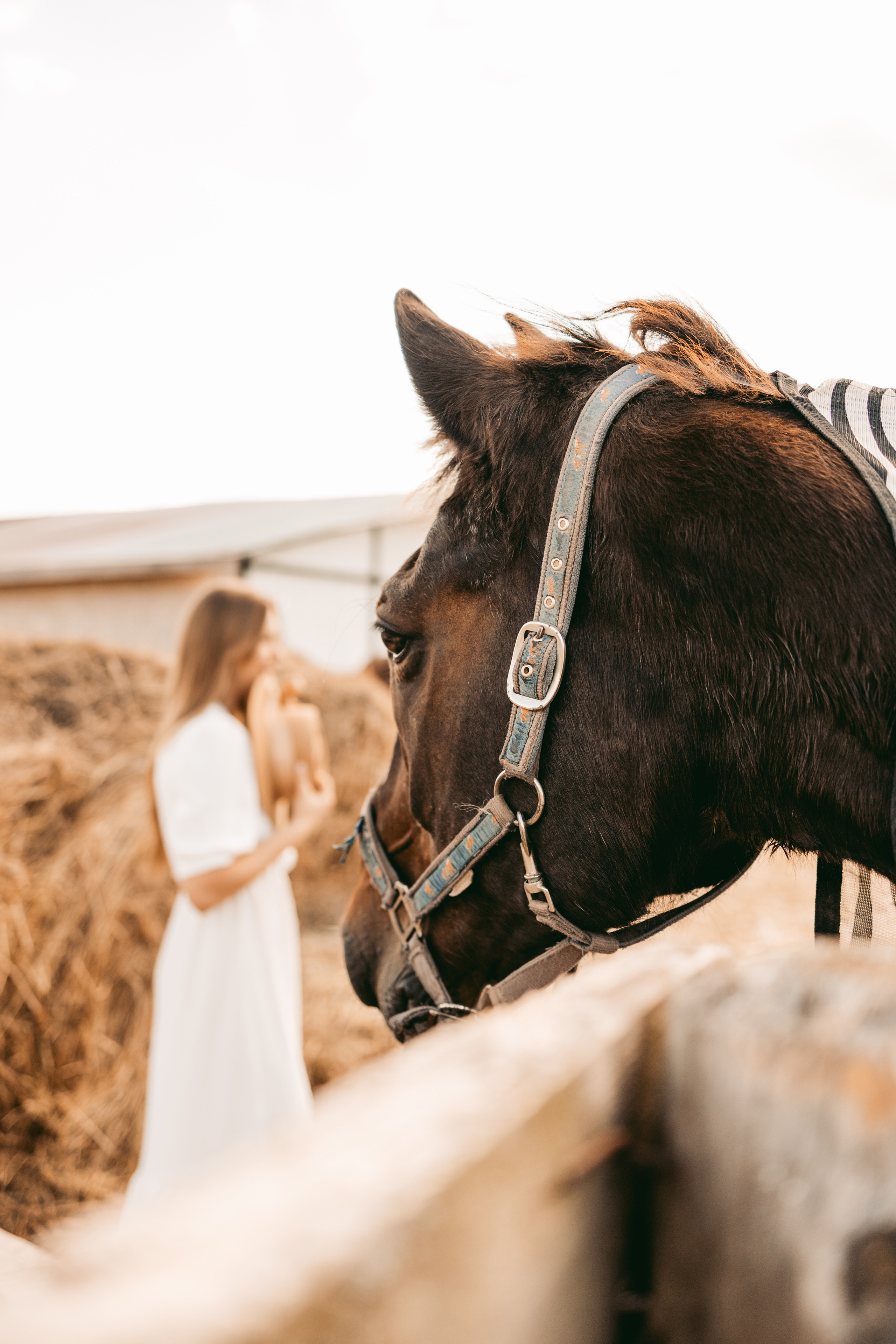 Голосом сердца…. Семейный фотограф Москва Калининград СПб