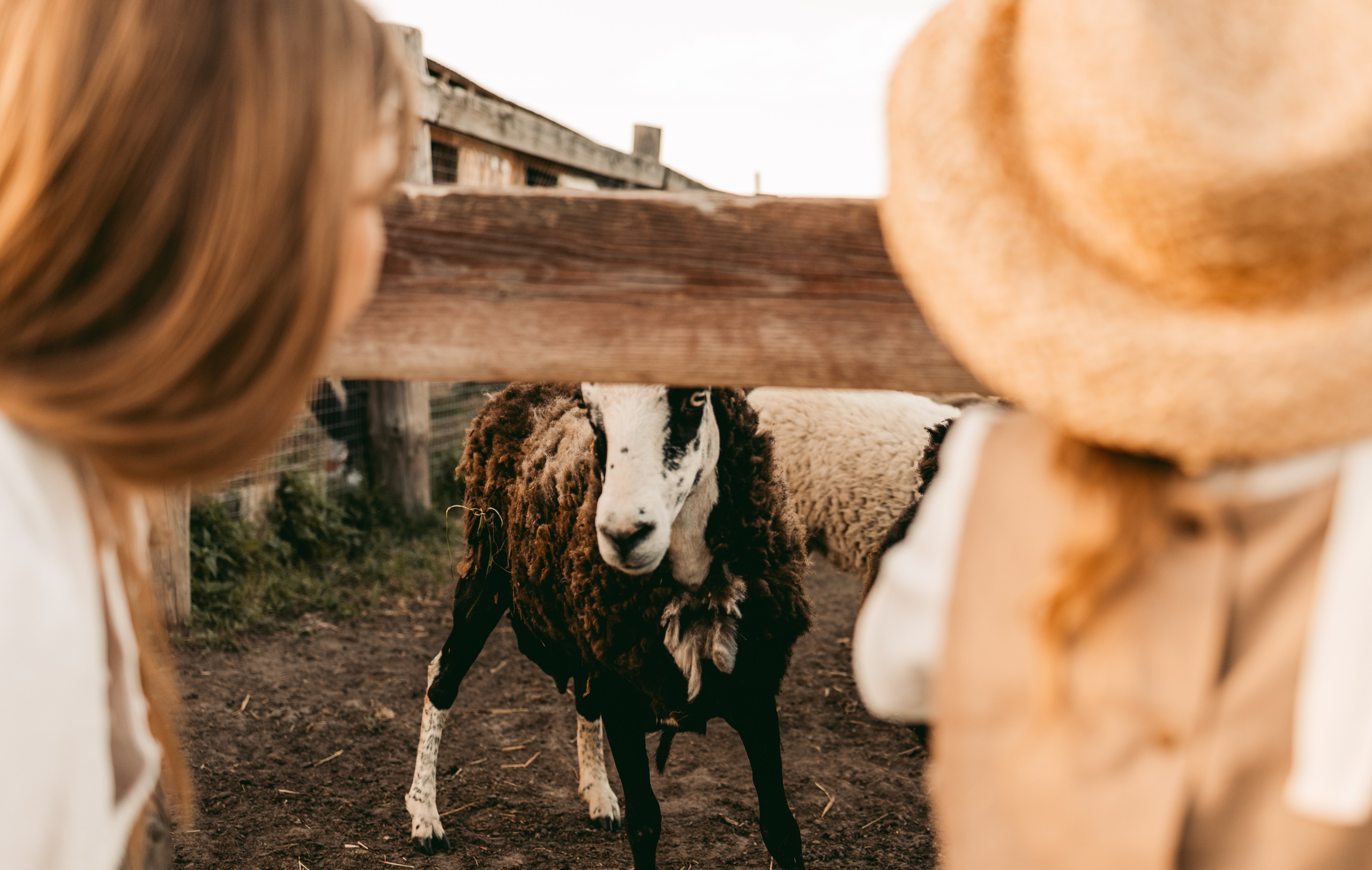 Голосом сердца…. Семейный фотограф Москва Калининград СПб