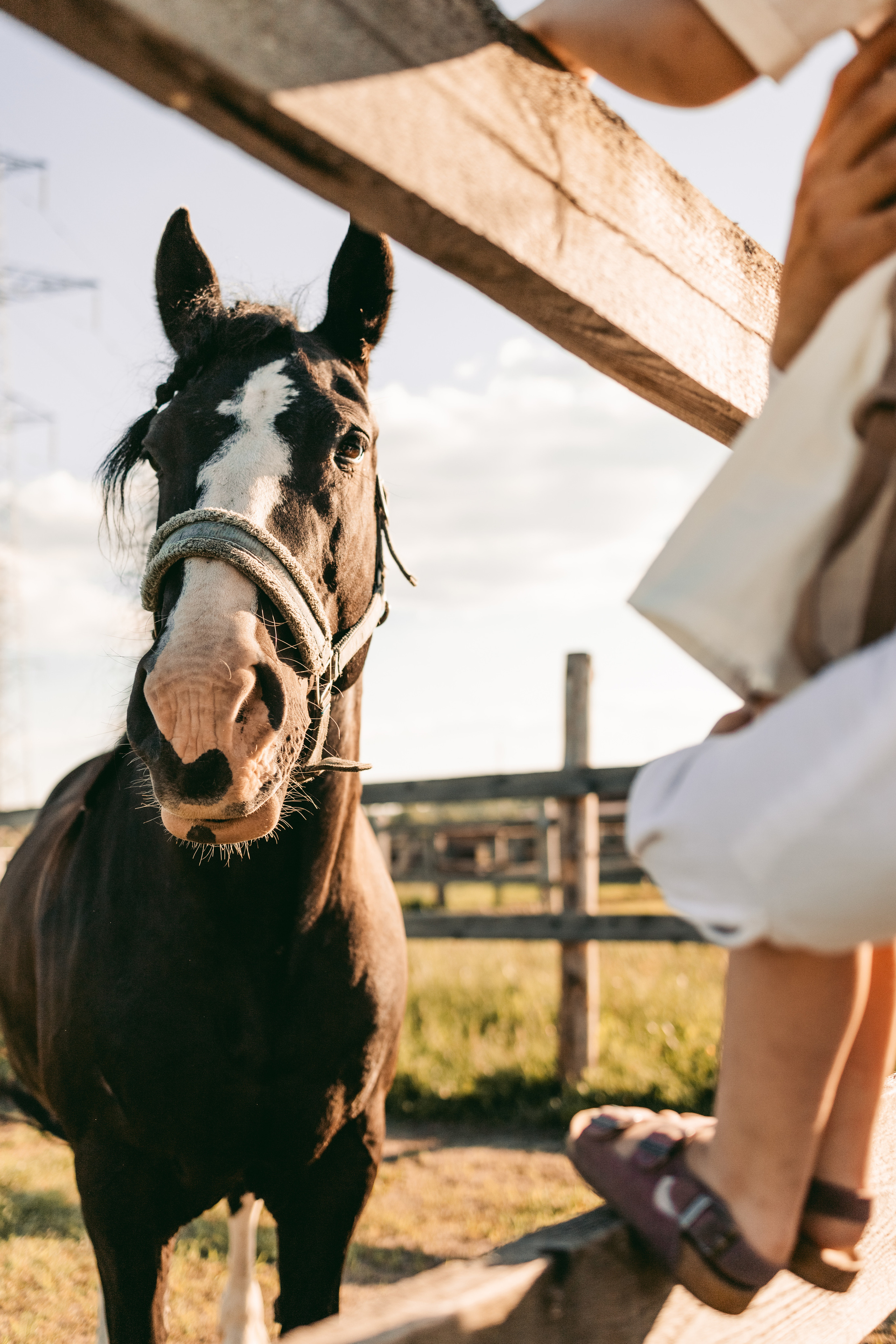 Голосом сердца…. Семейный фотограф Москва Калининград СПб