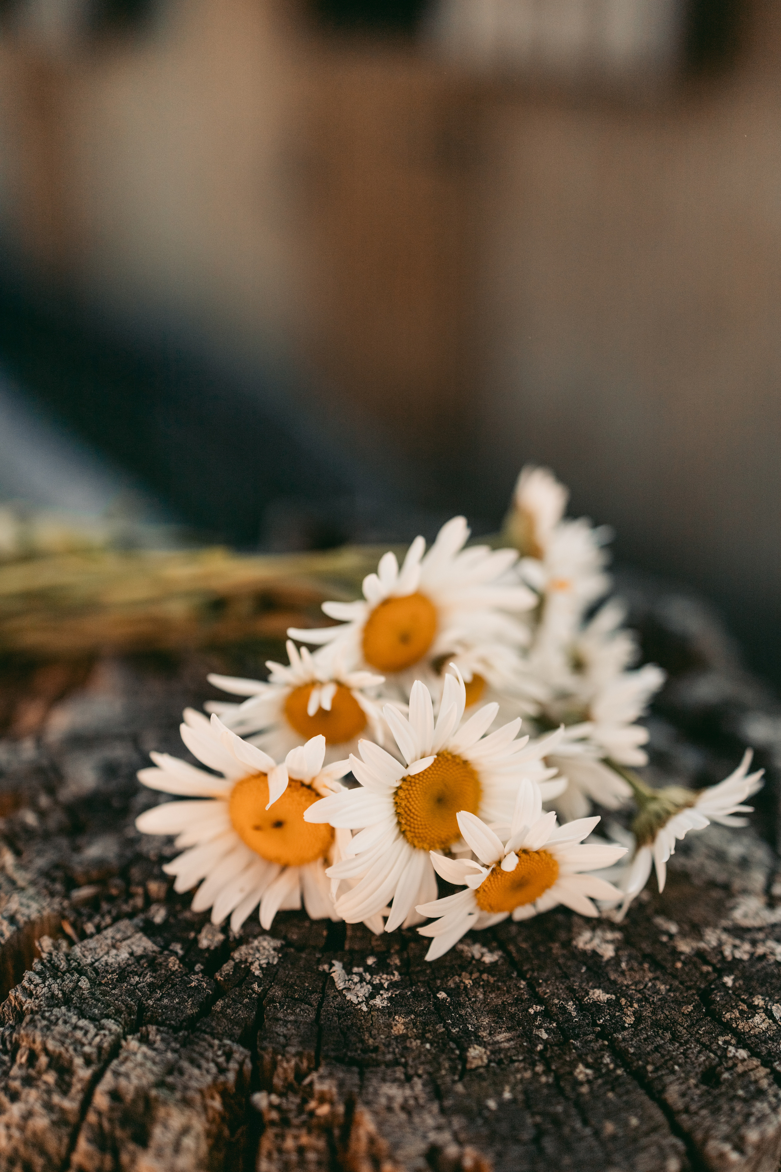 Голосом сердца…. Семейный фотограф Москва Калининград СПб