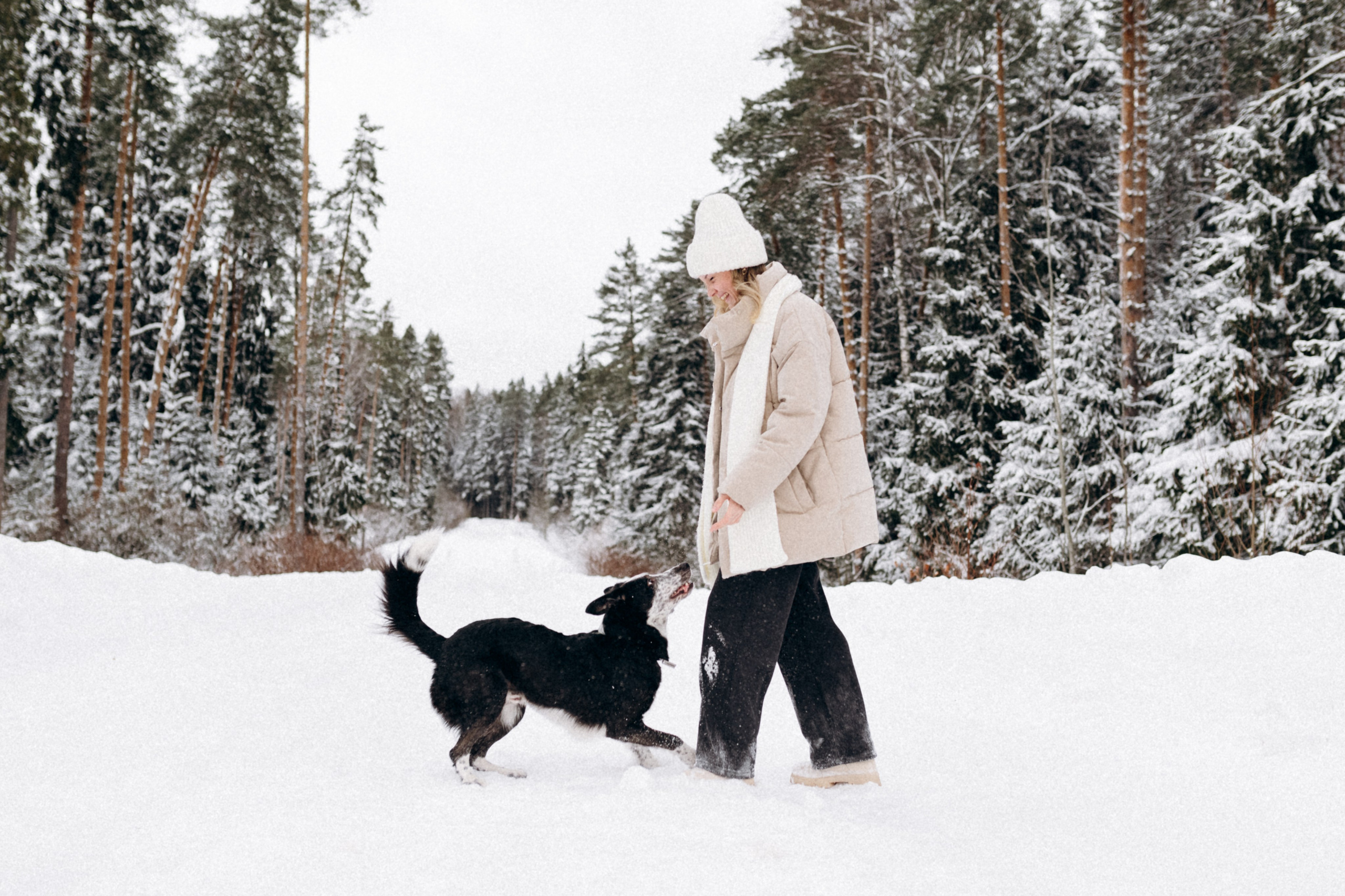 Аня и Милан. Фотограф анималист в Москве Ольга Агушева