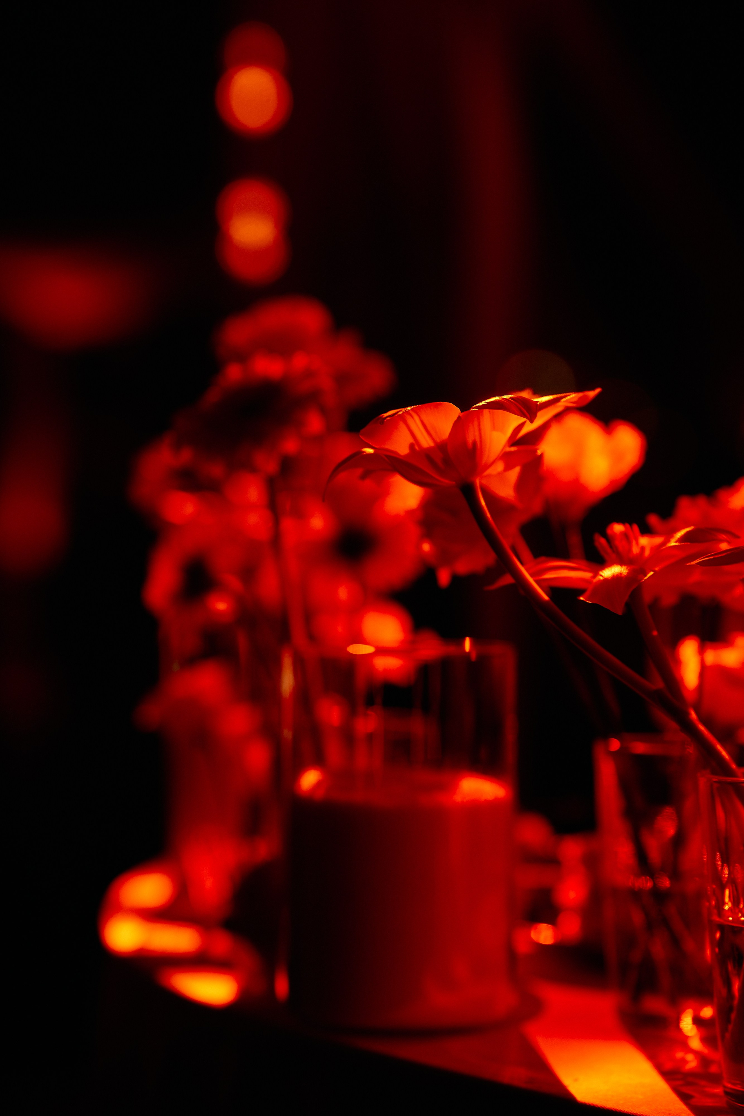 Виталий и Диана. Свадебный фотограф Минск РБ