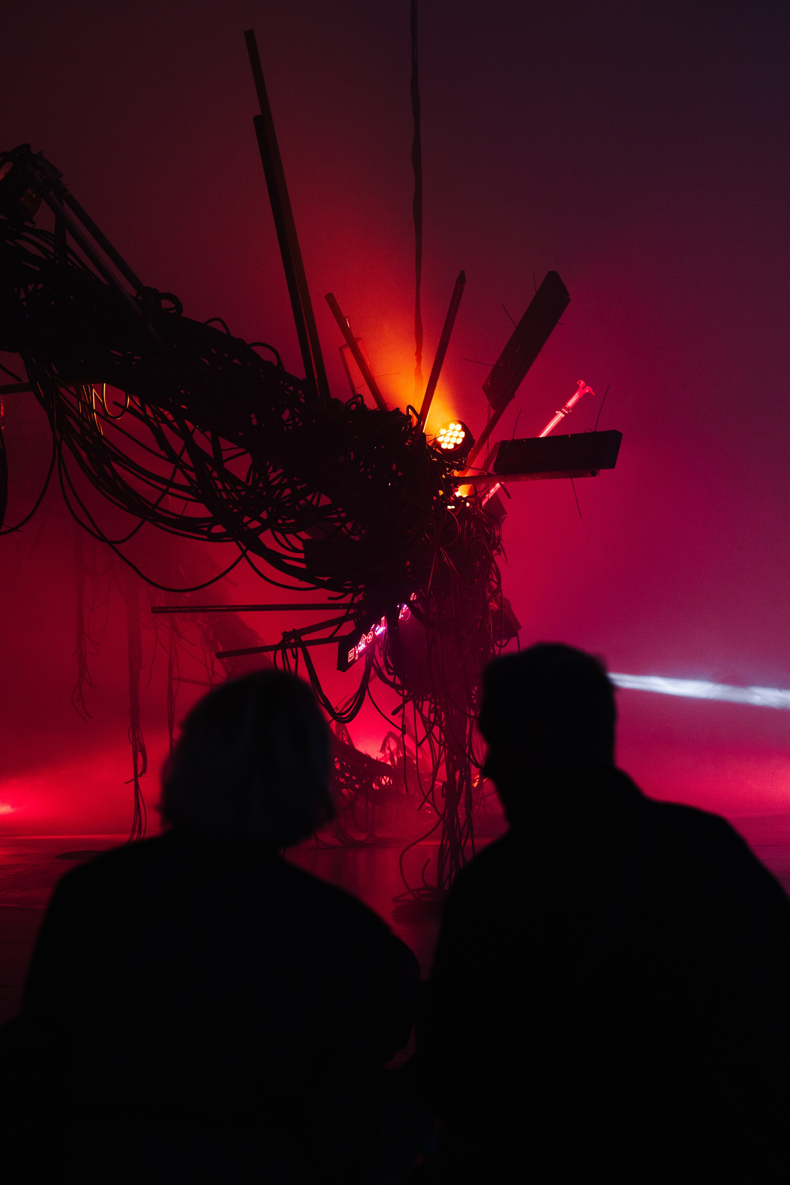 PERFORMA, The Hour of the Horse. @tomrus: Рустам Шагиморданов — фотограф