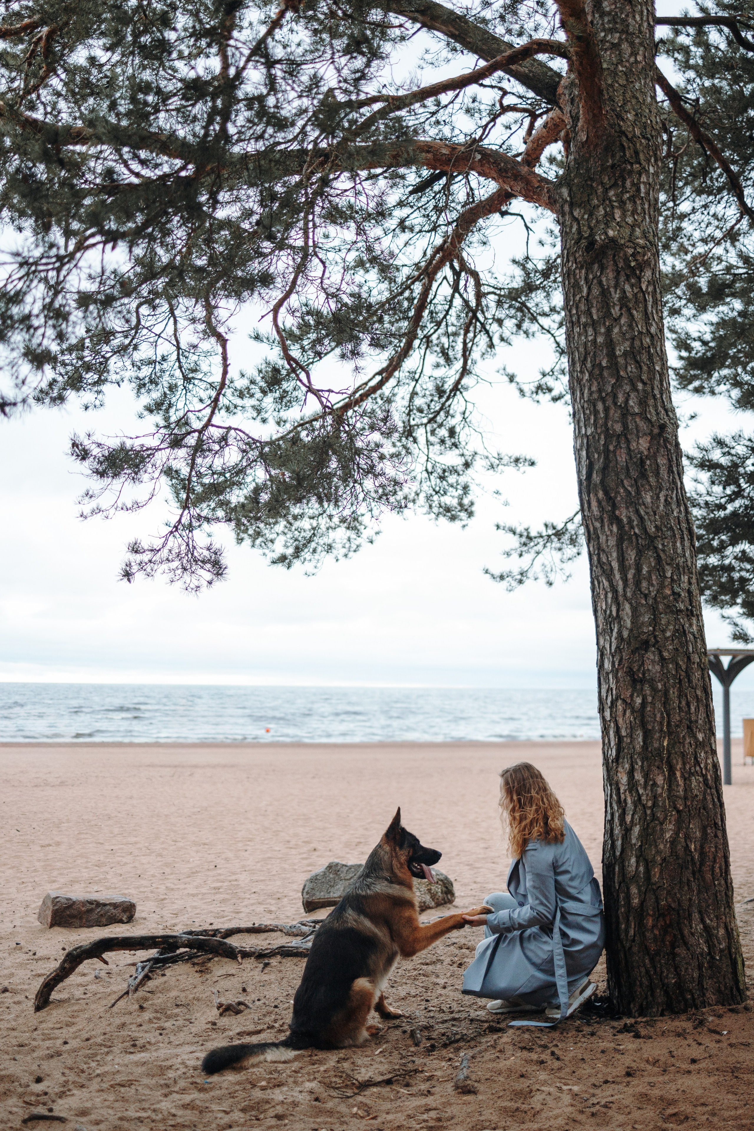Катя и Агат. Фотограф — Анималист | Санкт-Петербург