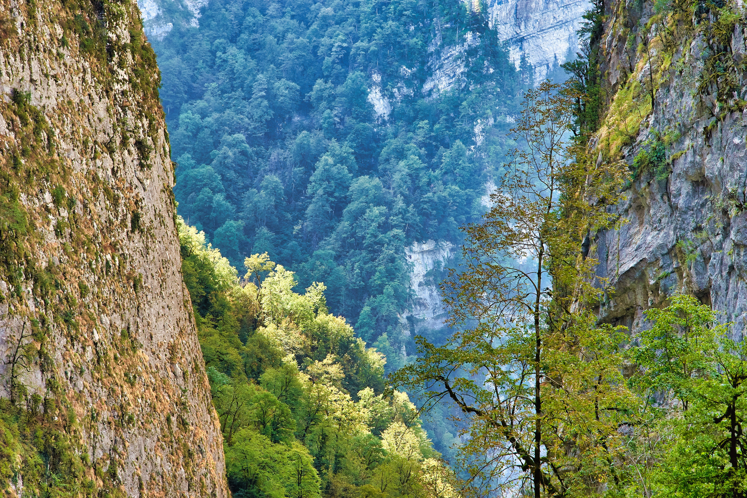 Наша мать — природа. Фотограф Владимир Артамонов