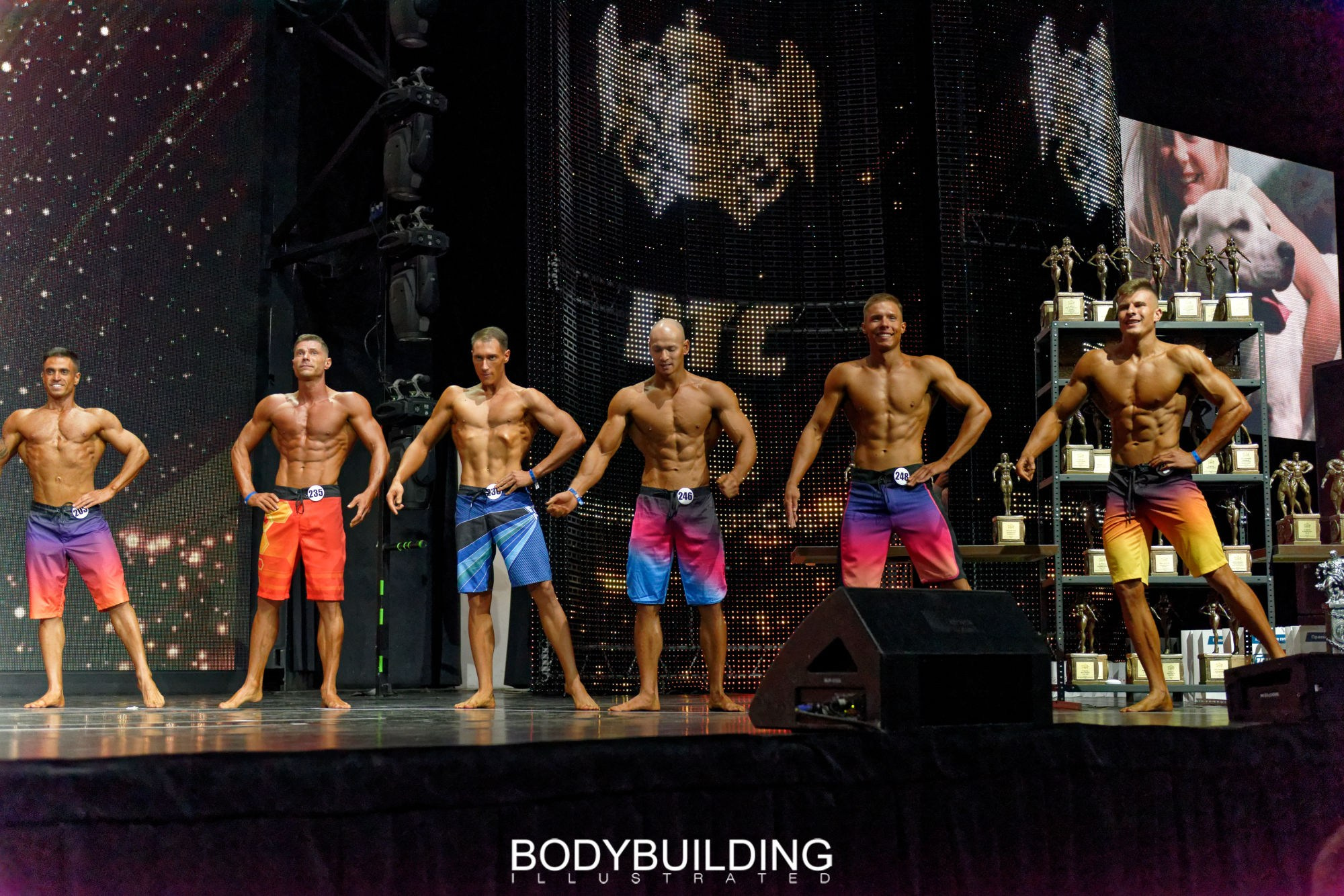 Bodybuilding Illustrated