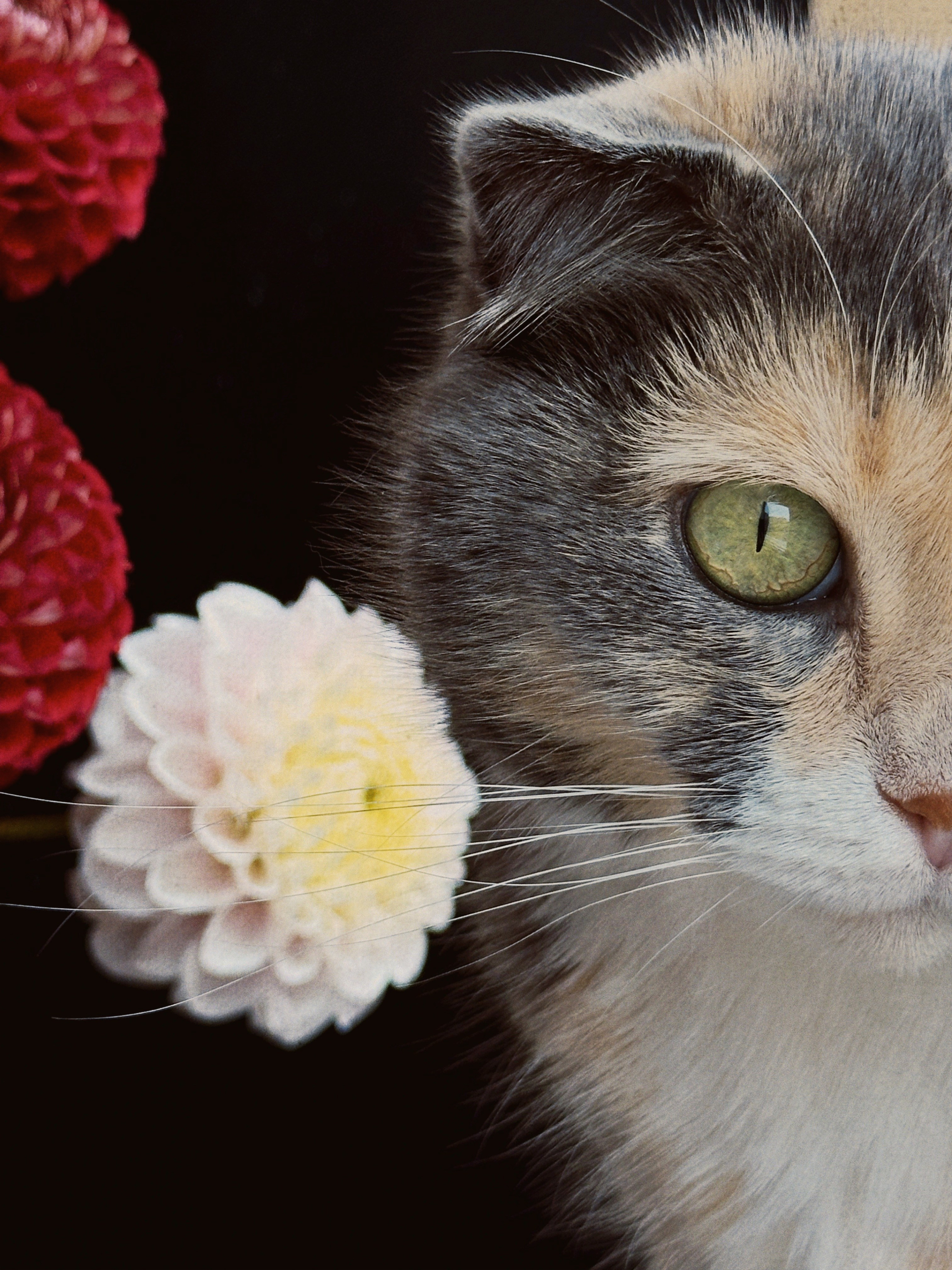 Предметная съёмка. Чувственный мобильный фотограф в Казани и Сочи Дьяченко Дарья
