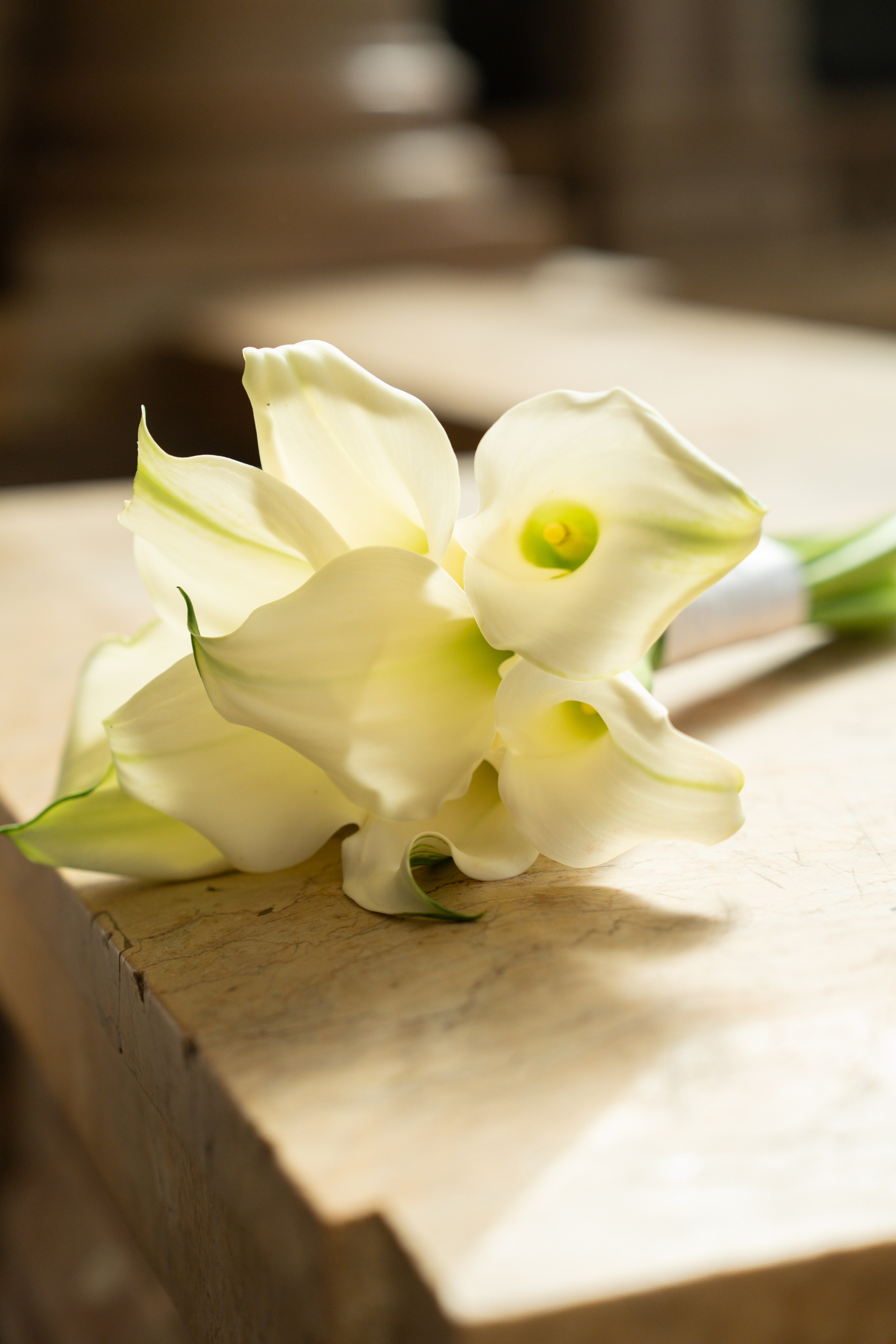 Свадебная фотосессия в Академии Штиглица в Петербурге. Свадебный фотограф в Москве Анна Полушина