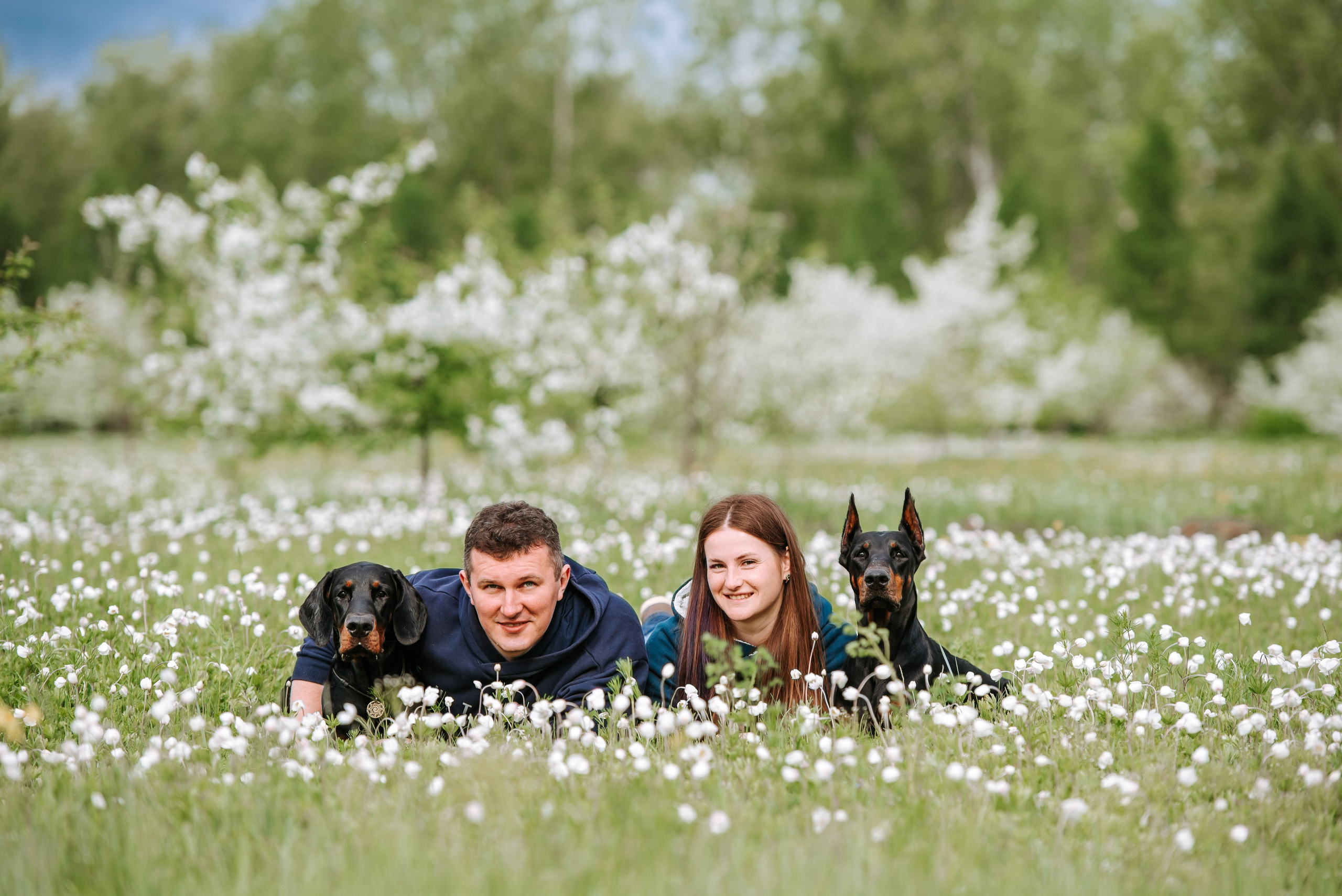 Цветение с доберманами. Фотограф Диана Оленина Красноярск / Братск