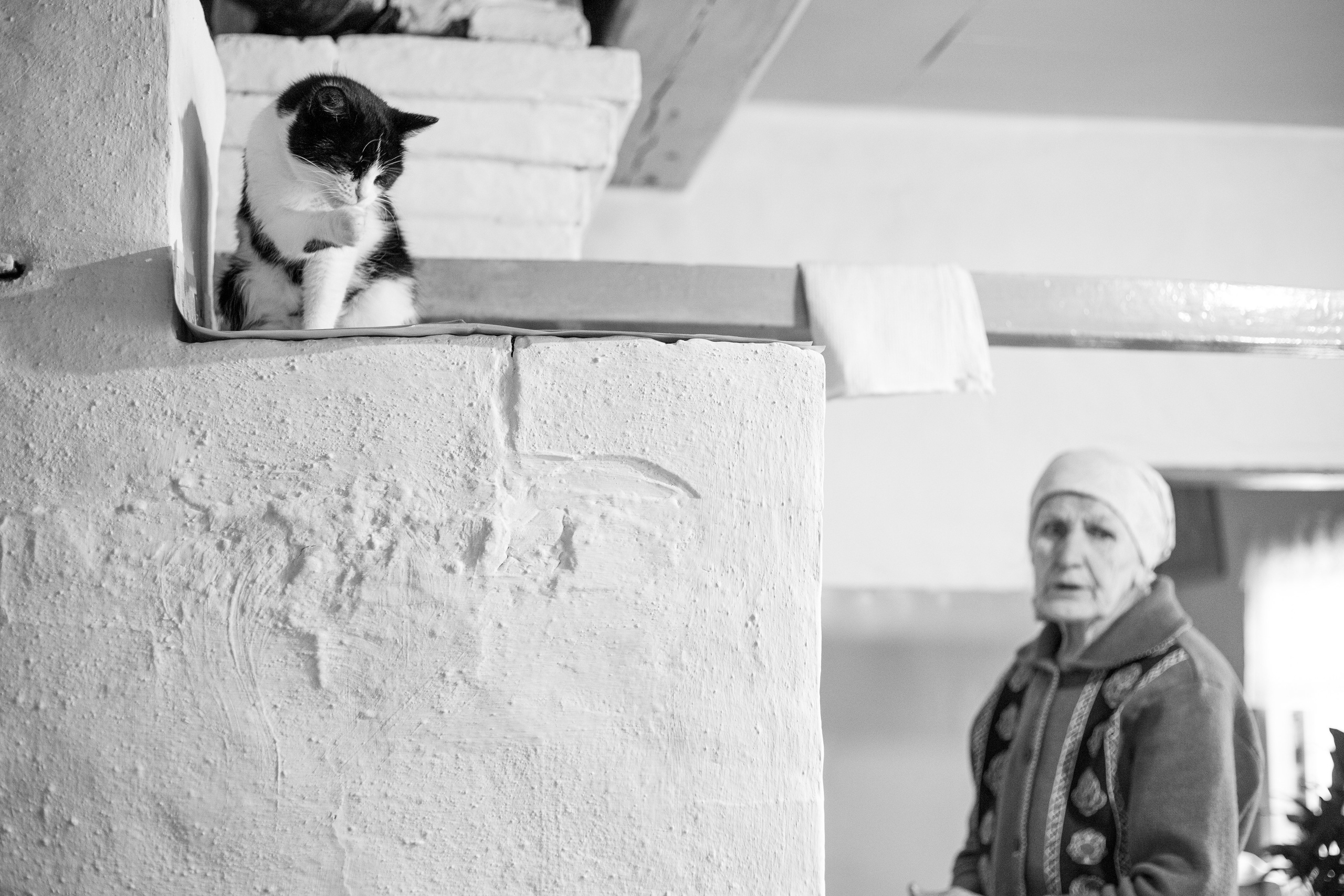 Фотографический проект "Женщина". Софья Федотова — продюсер, тренер киноактеров