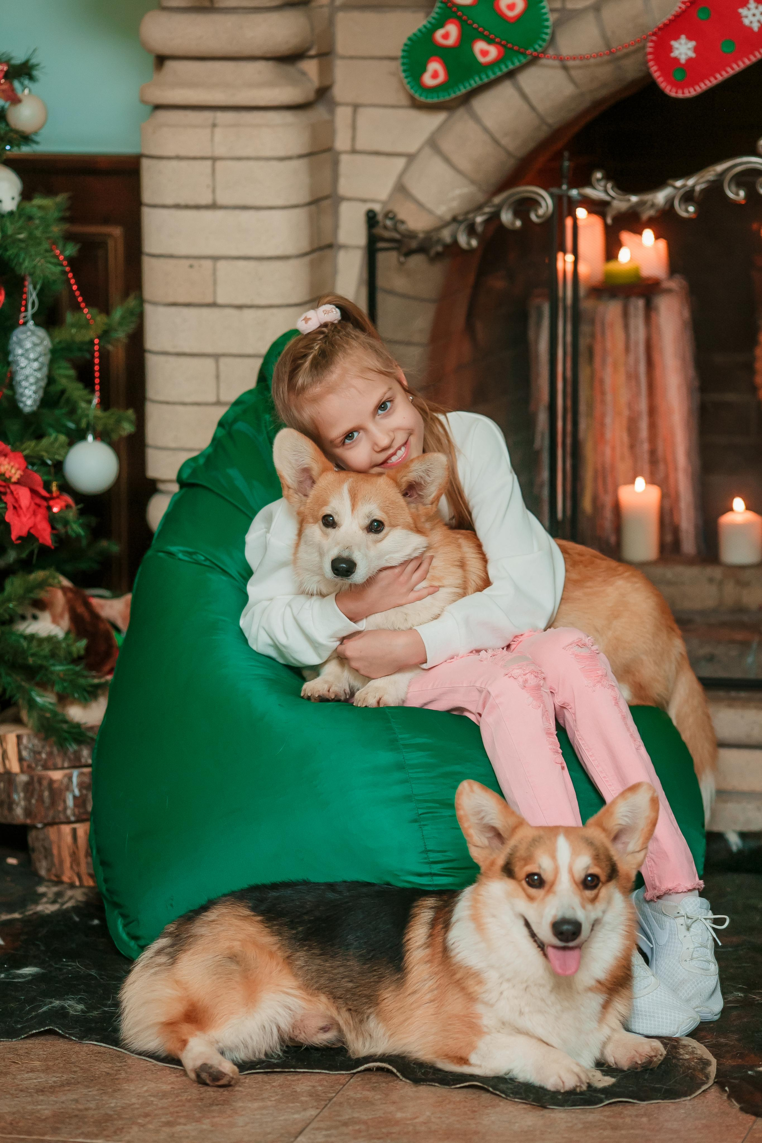 Питомник корги 2021. Модель подросток Кристина Шэр в Москве