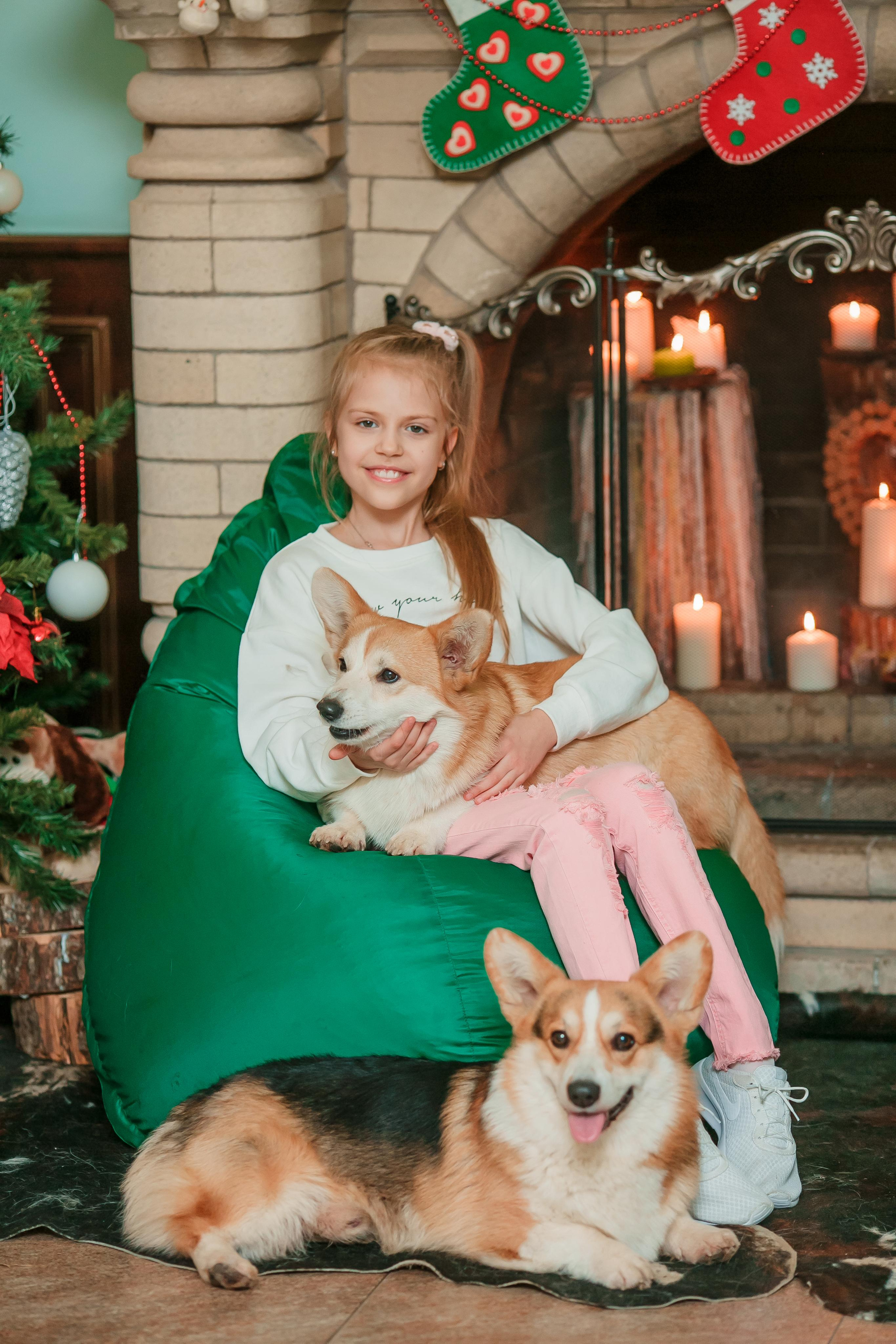 Питомник корги 2021. Модель подросток Кристина Шэр в Москве