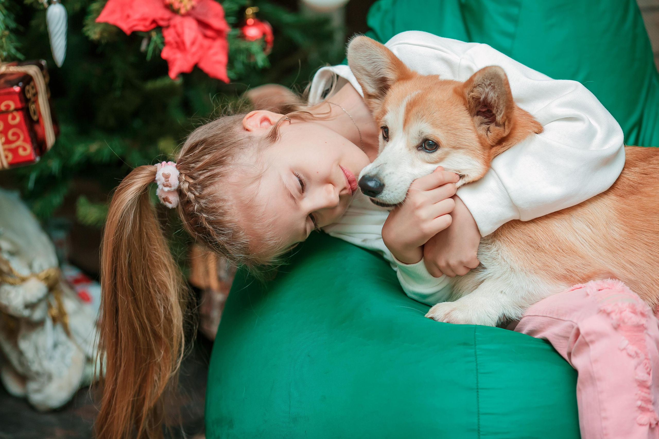 Питомник корги 2021. Модель подросток Кристина Шэр в Москве