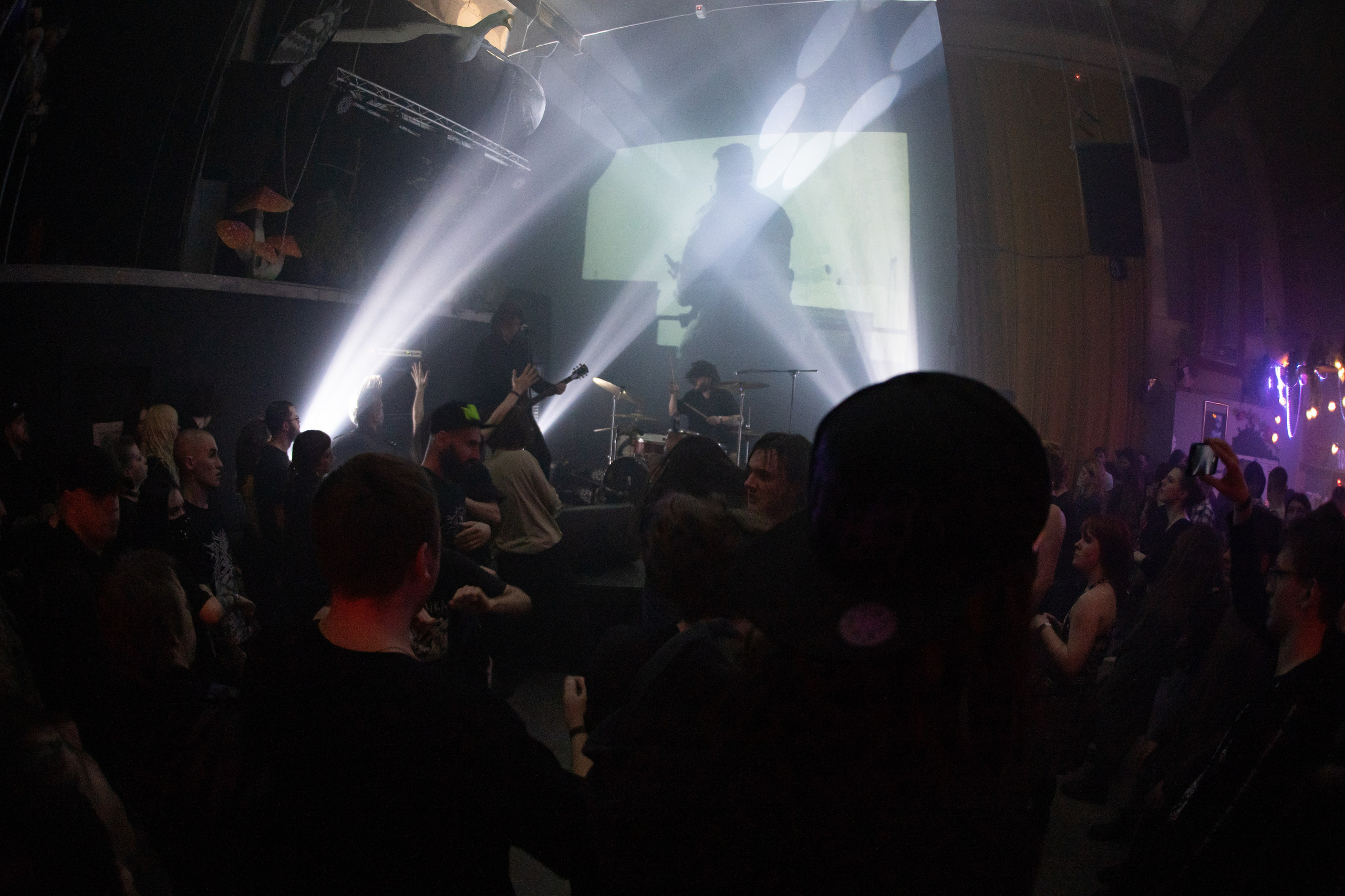 Шторм|Ласточка. Концертный и репортажный фотограф в Санкт-Петербурге Слава Пахомов