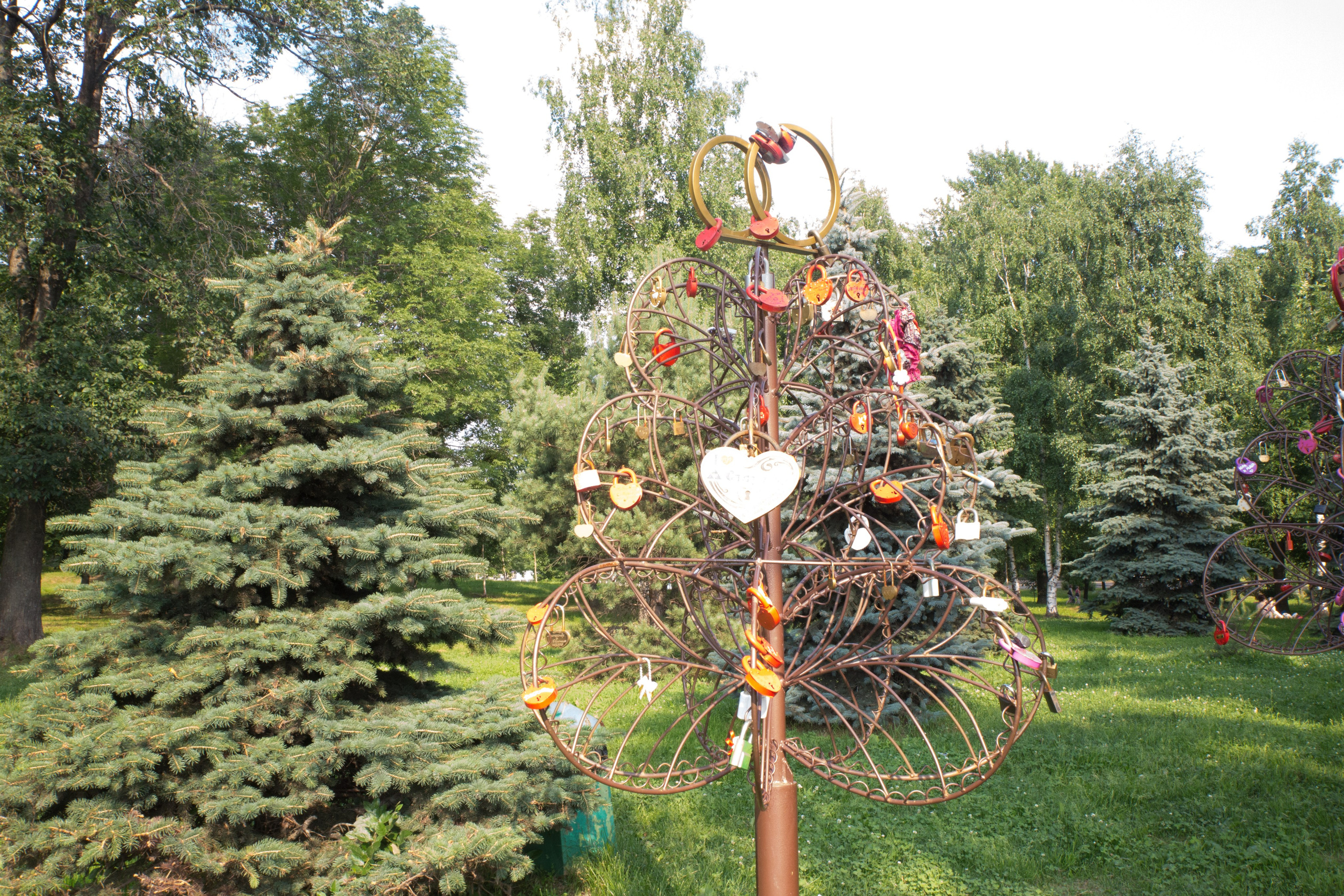 Г. Ярославль. Студия Максима Белослюдцева