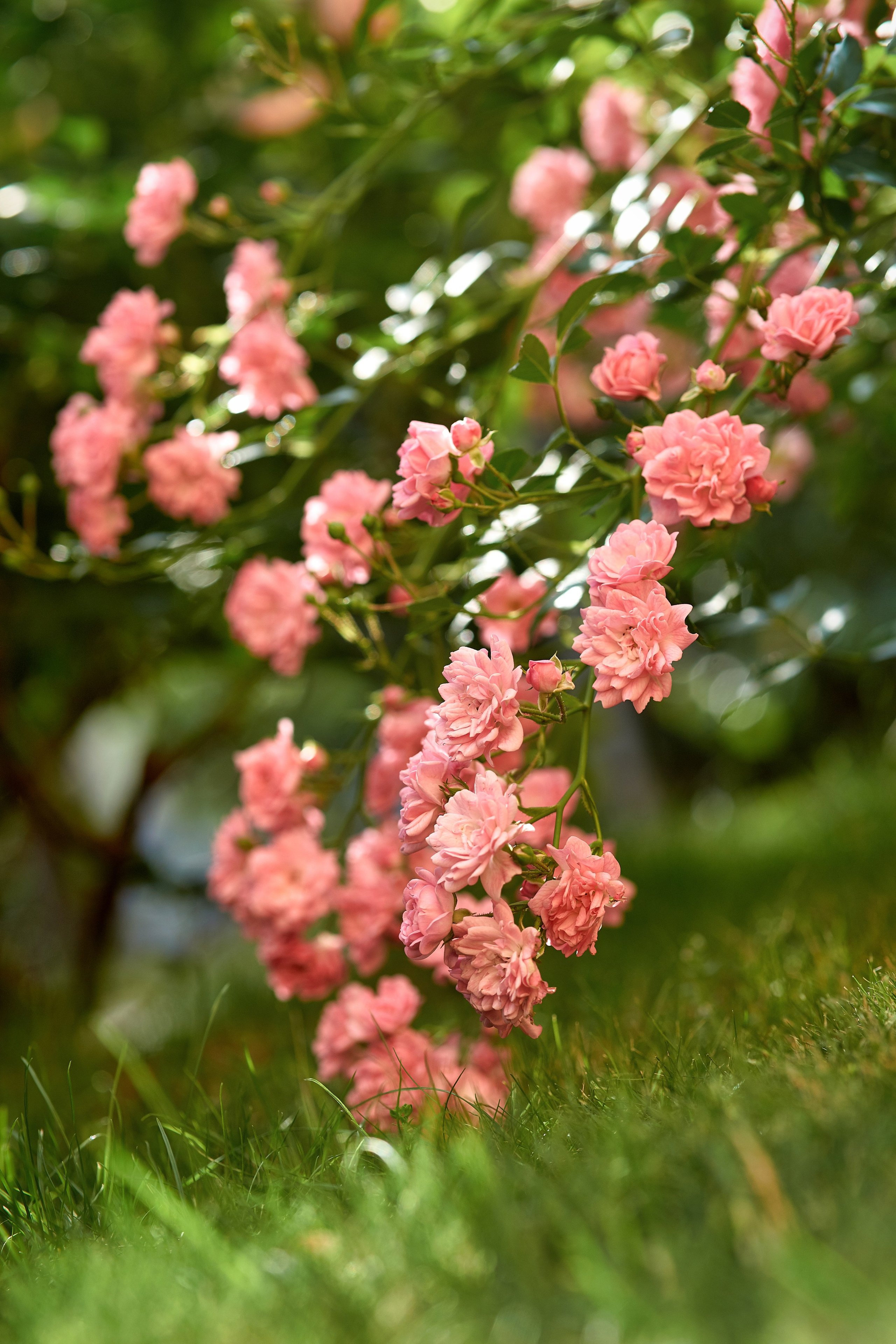 Наша мать — природа. Фотограф Владимир Артамонов