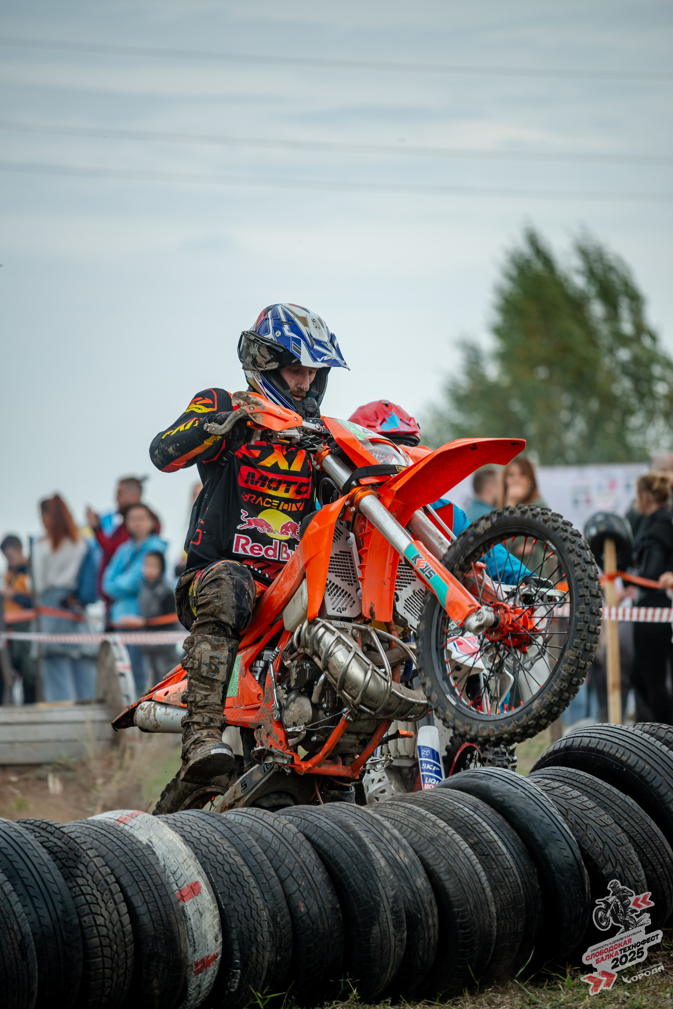 Слободская балка 2025. Фотограф | Макс Борода