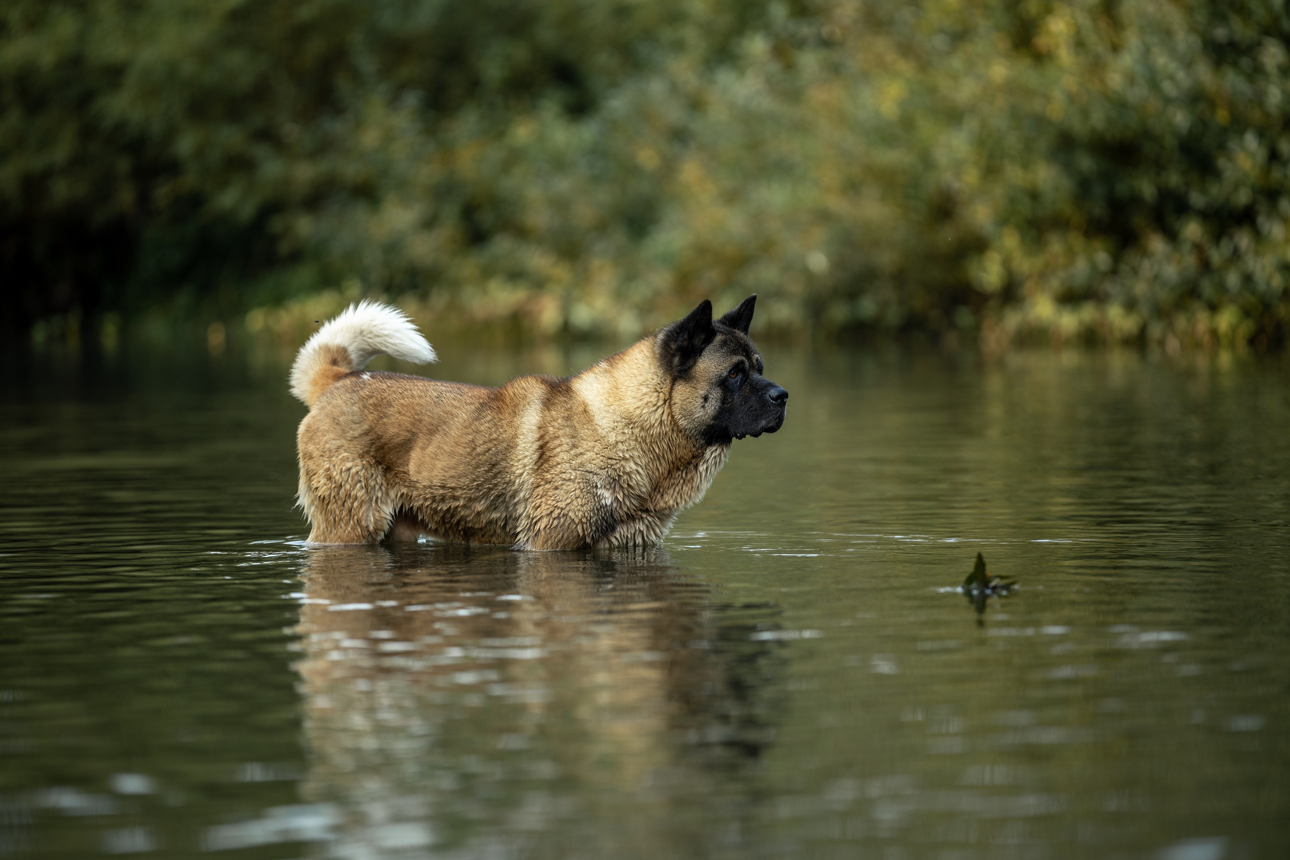 Природные пейзажи. Наталия Клевинскас портретный фотограф в Костроме