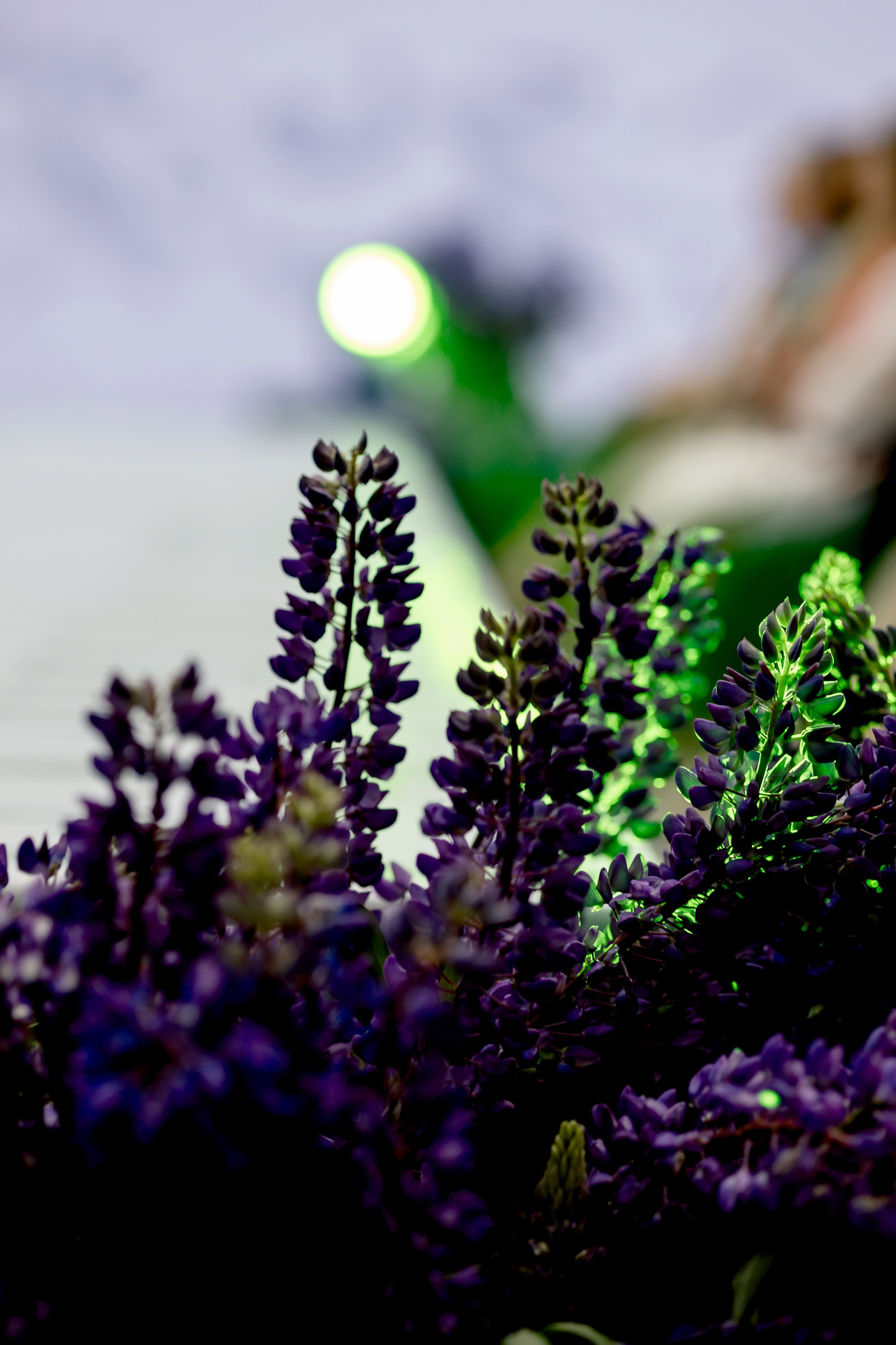 Smolensk Fashion Week 2025_День 2_Смоленская матрешка. Главная