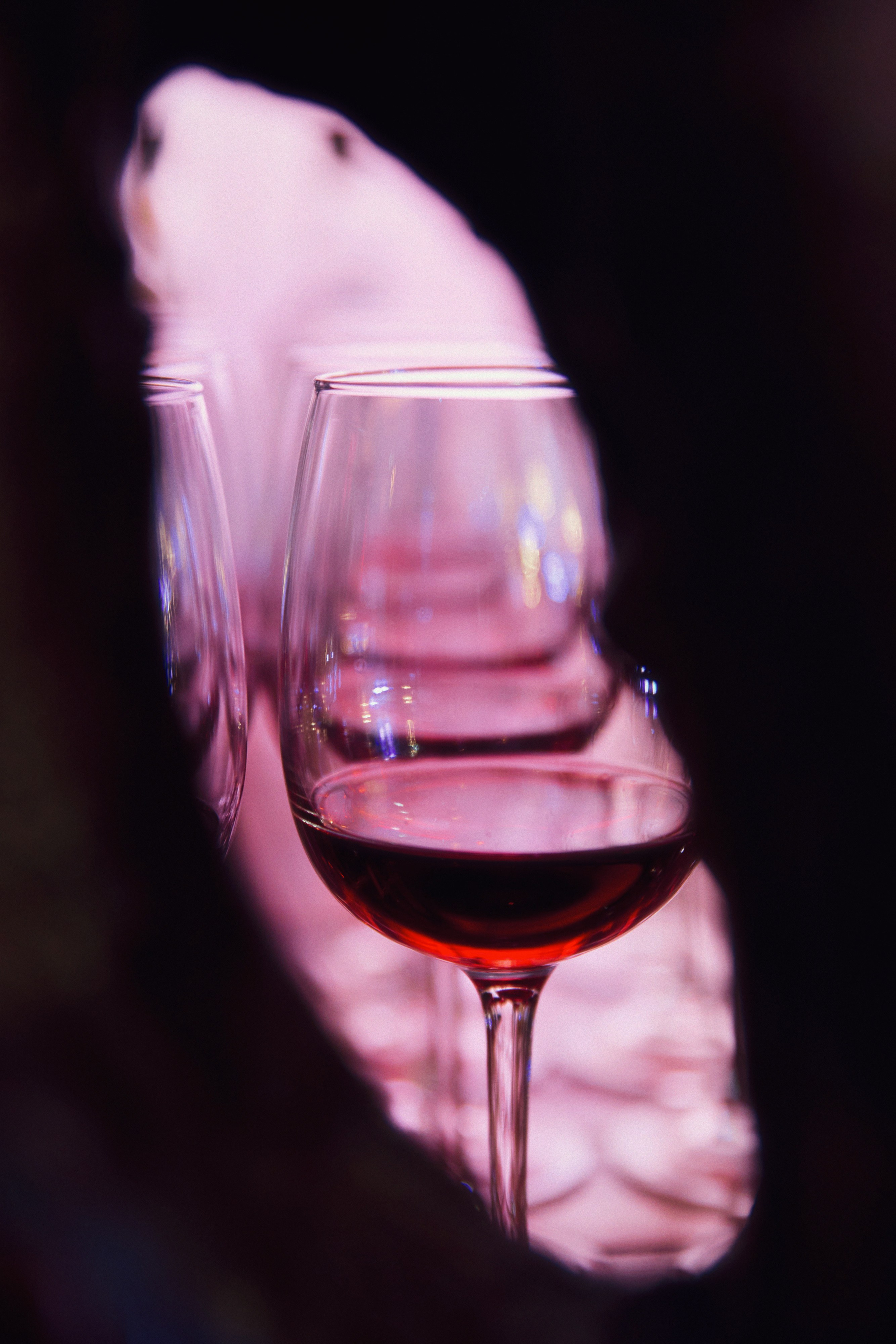 Norbit Cabaret. Фотограф Дмитрий Тур — профессиональная фотосъемка мероприятий и портретов в Москве и Московской области