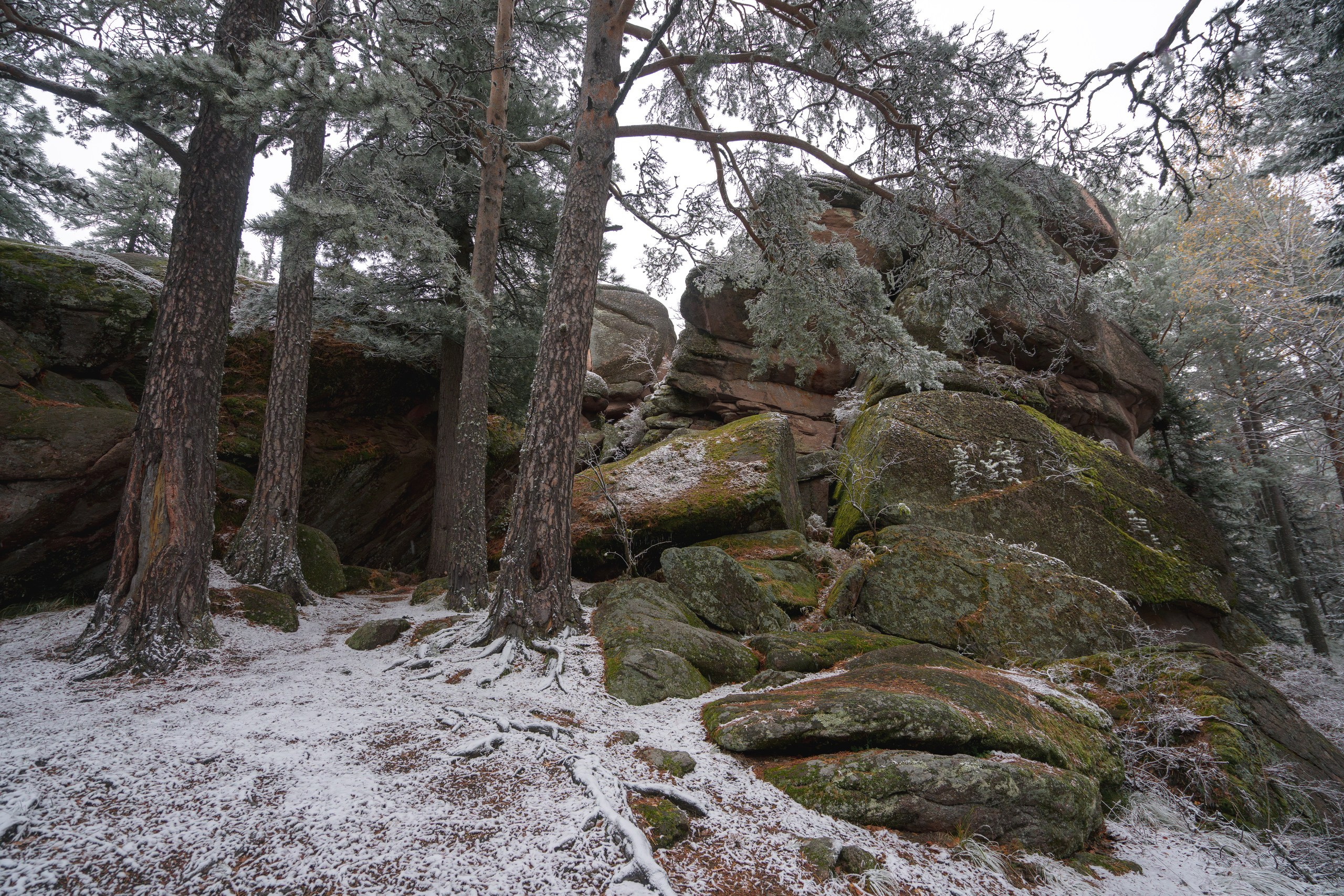 Красноярские Столбы. Фотограф в Красноярске Нерозя Александр. Пейзаж, природа, портрет