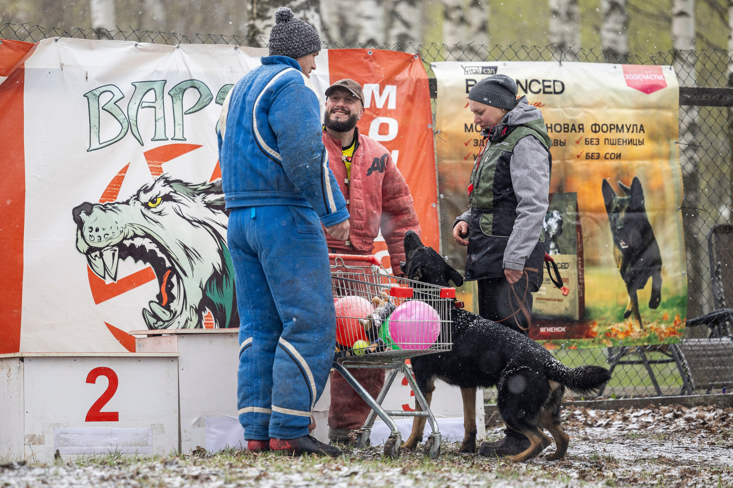 Квалификационные состязания по мондьорингу г. Вологда 11.05.24. Фотограф-анималист Анна Маринич