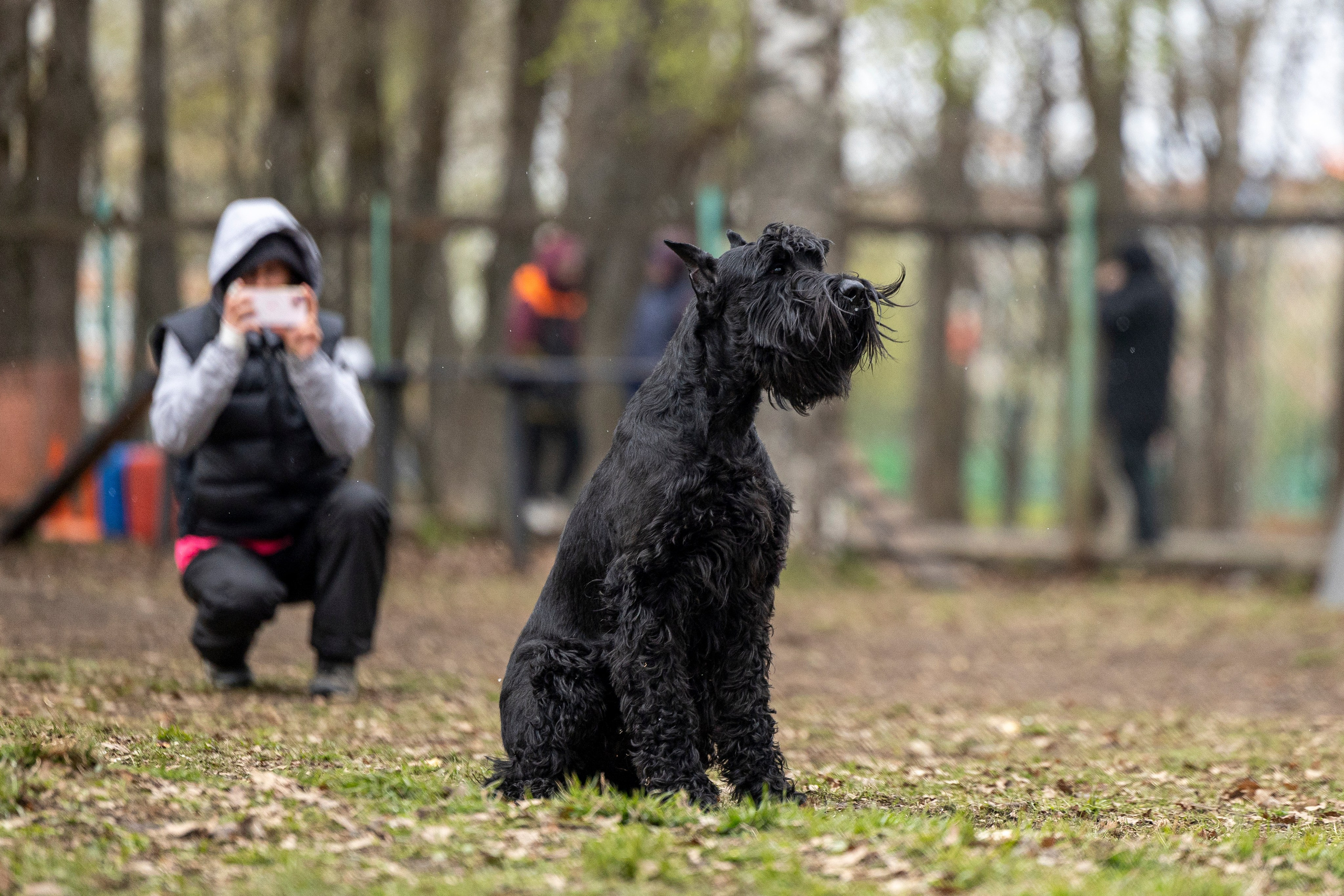 Квалификационные состязания по мондьорингу г. Вологда 11.05.24. Фотограф-анималист Анна Маринич
