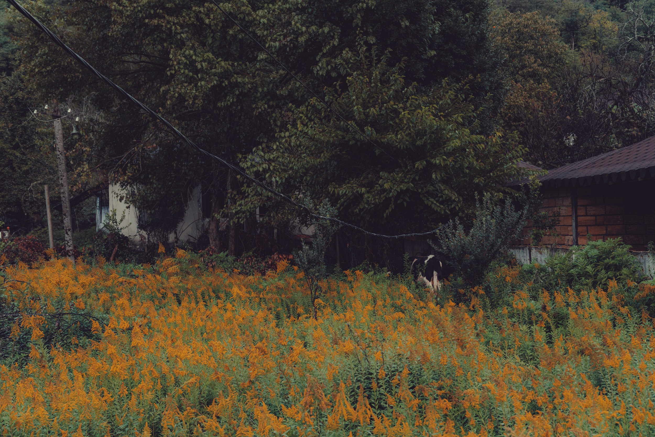 Горы. Андрей Попов | Фотограф Волгоград| Druny_photo