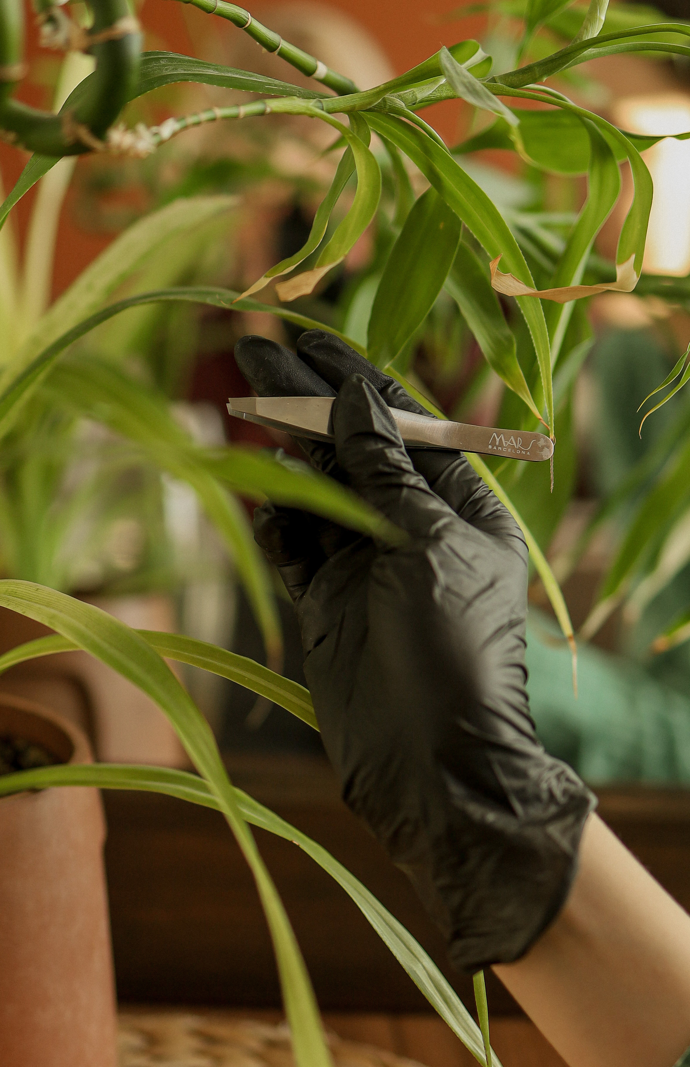 Диля. Контент. Фотографирую семьи, любовь и женский портрет