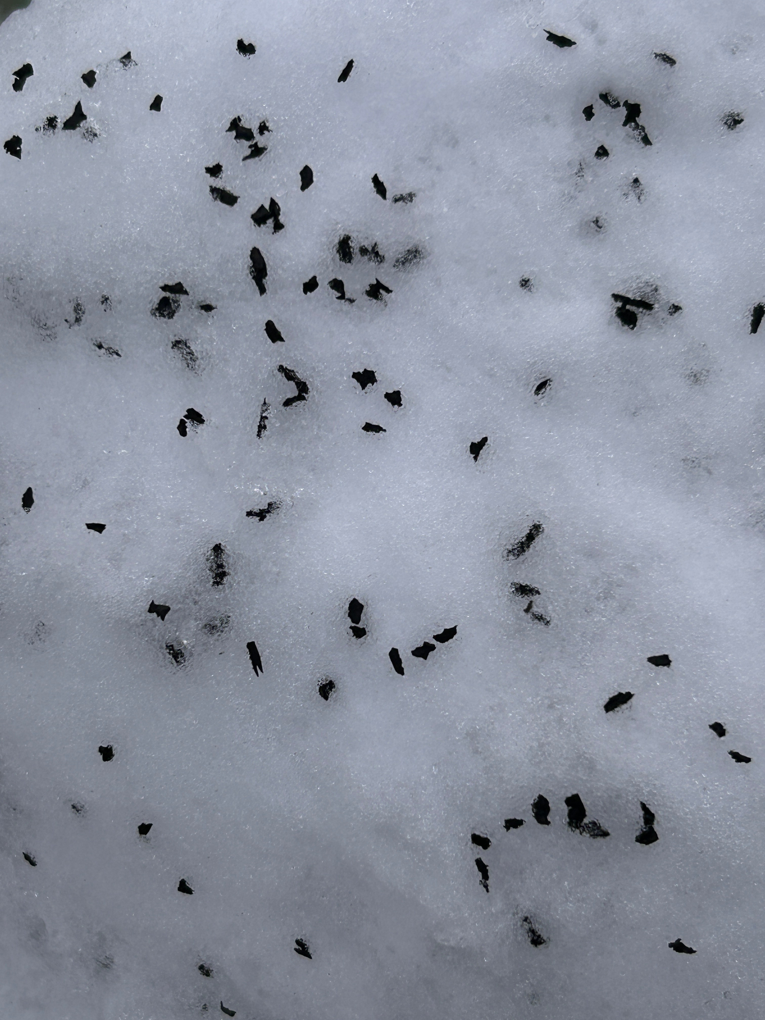 Текстуры. Фотокружок «Видоискатель» ГБОУ СОШ № 291