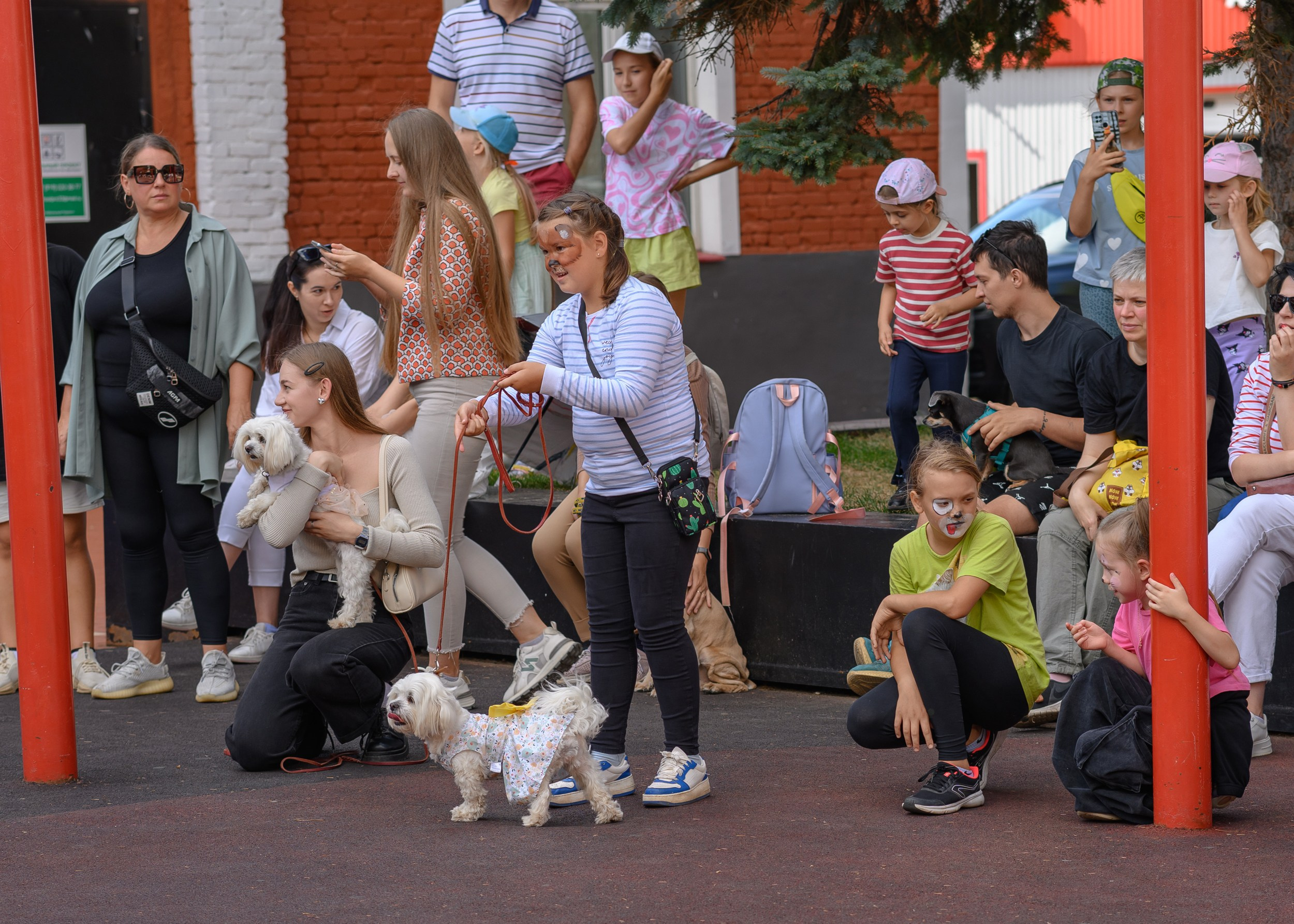 СобачийФест_РынокНаГоре_10082024. Фотограф Александр Данилов