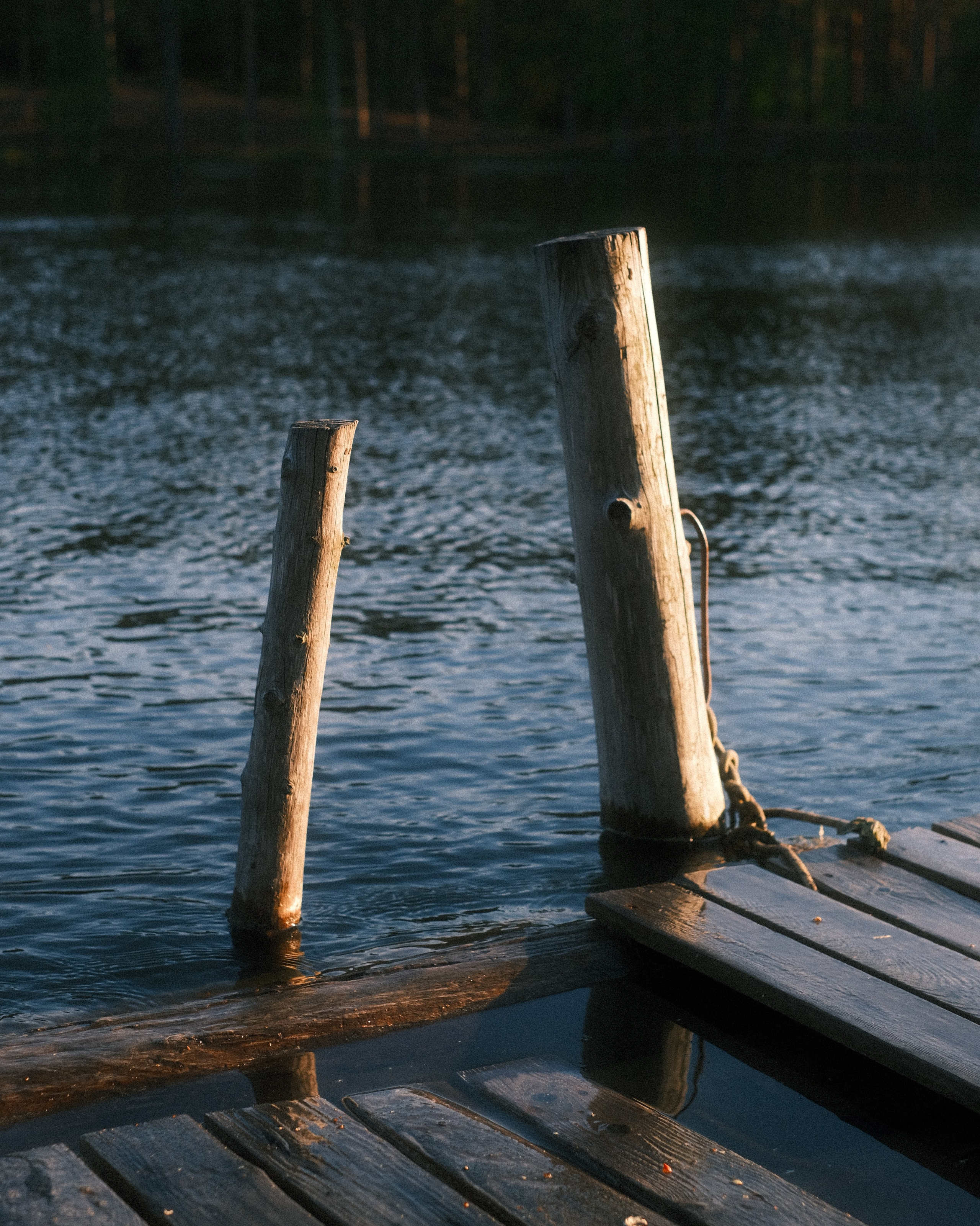 Орехово | май 2025