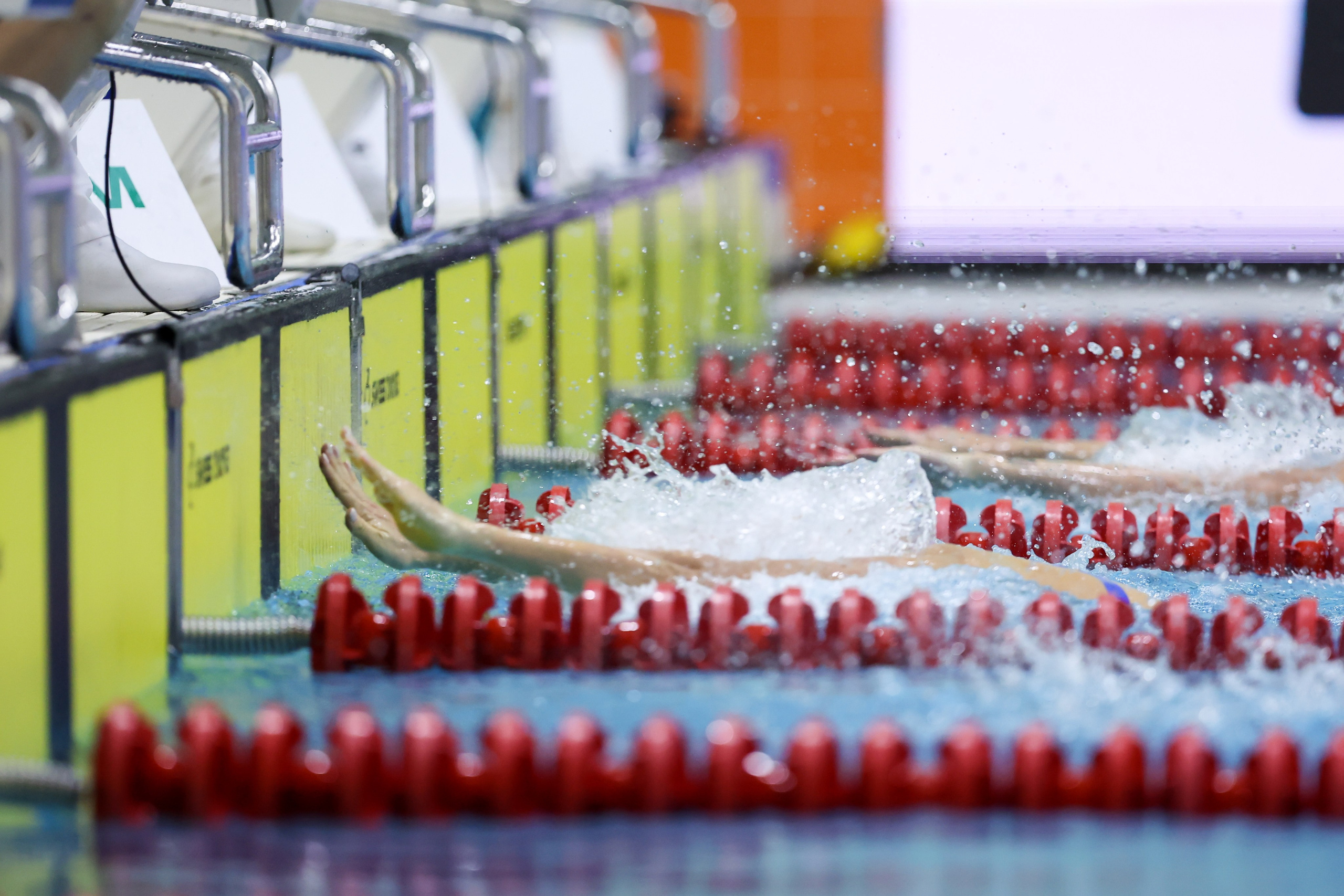 Чемпионат России по плаванию 25 м 21-26.11.2024. Спортивный и репортажный фотограф Антон Тереханов