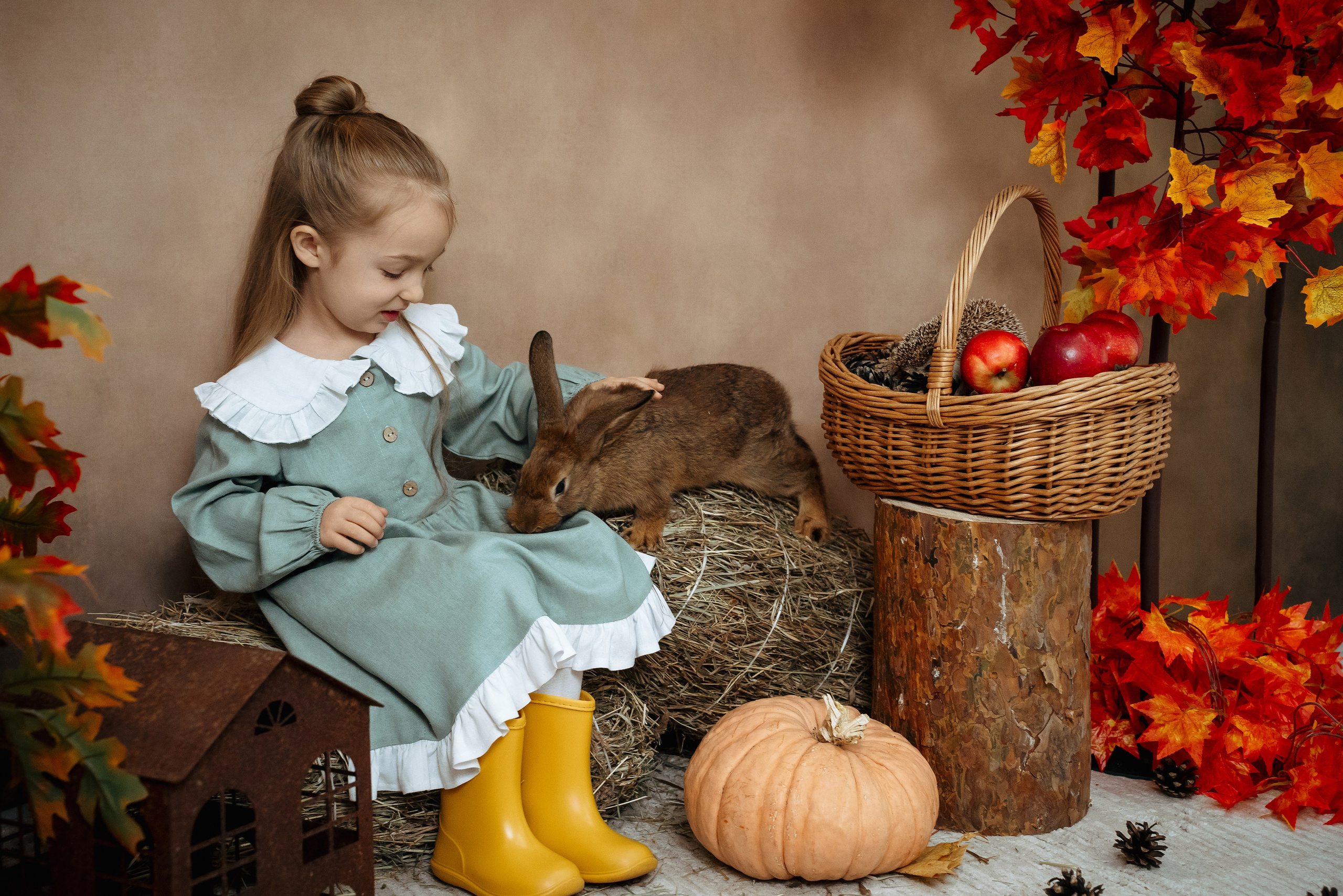 Ёжик. Фотограф Казакова Анастасия