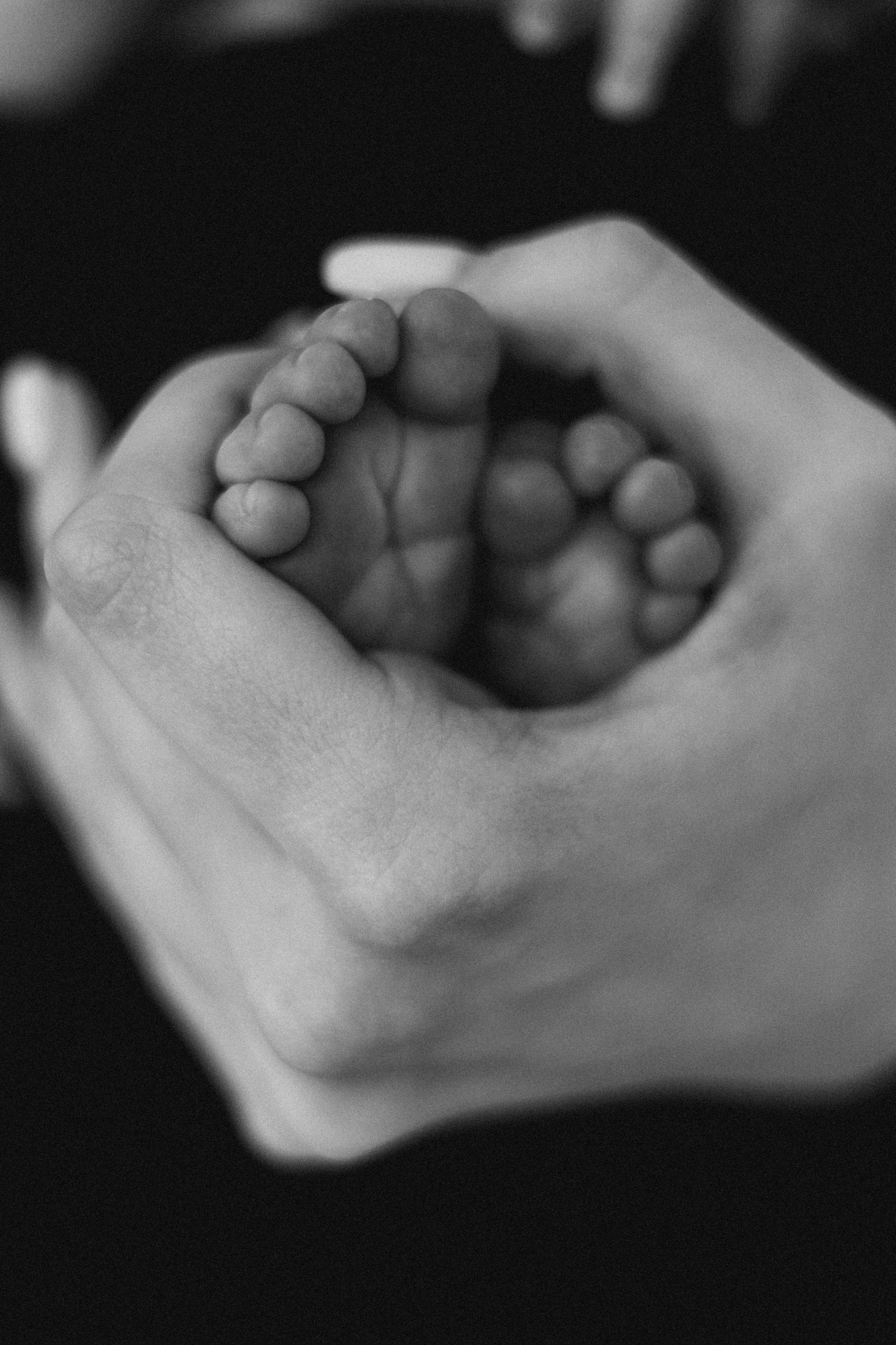 Новорожденные. Смирнова Алена Фотограф Екатеринбург