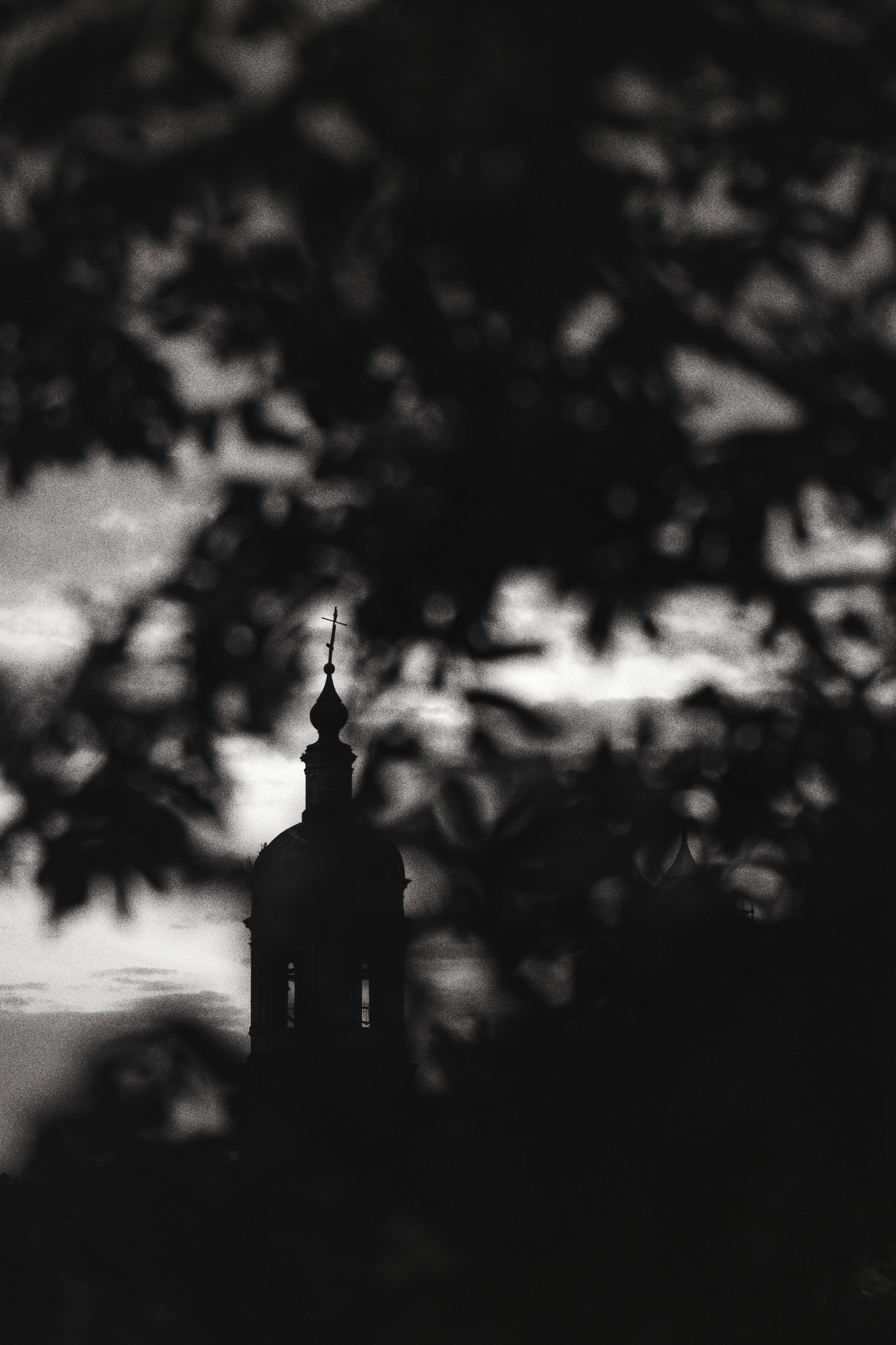 Природа. Kunchiy_