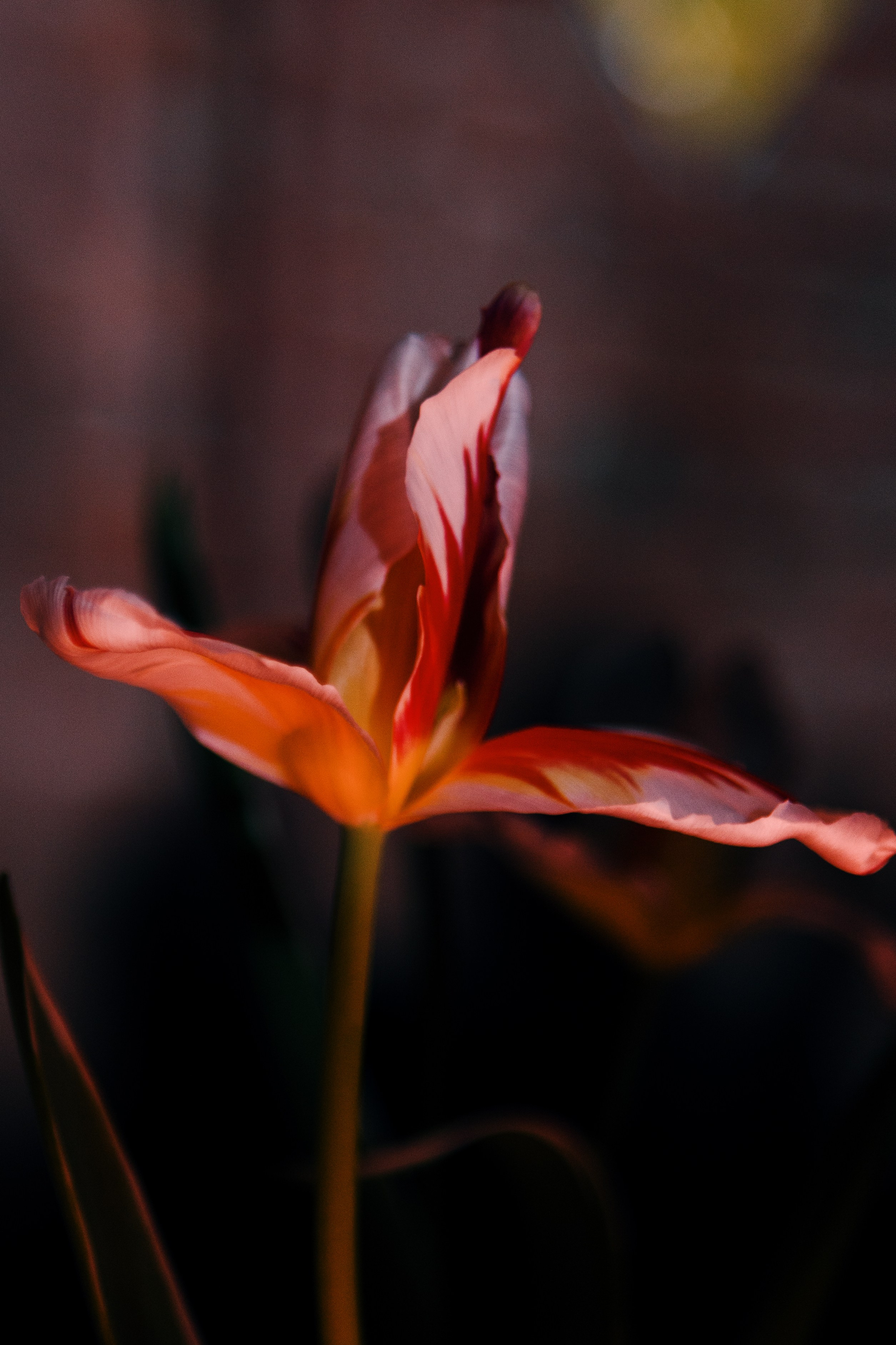 AUXI Noise 24. Fashion Фотограф в СПб Yana Kochkina