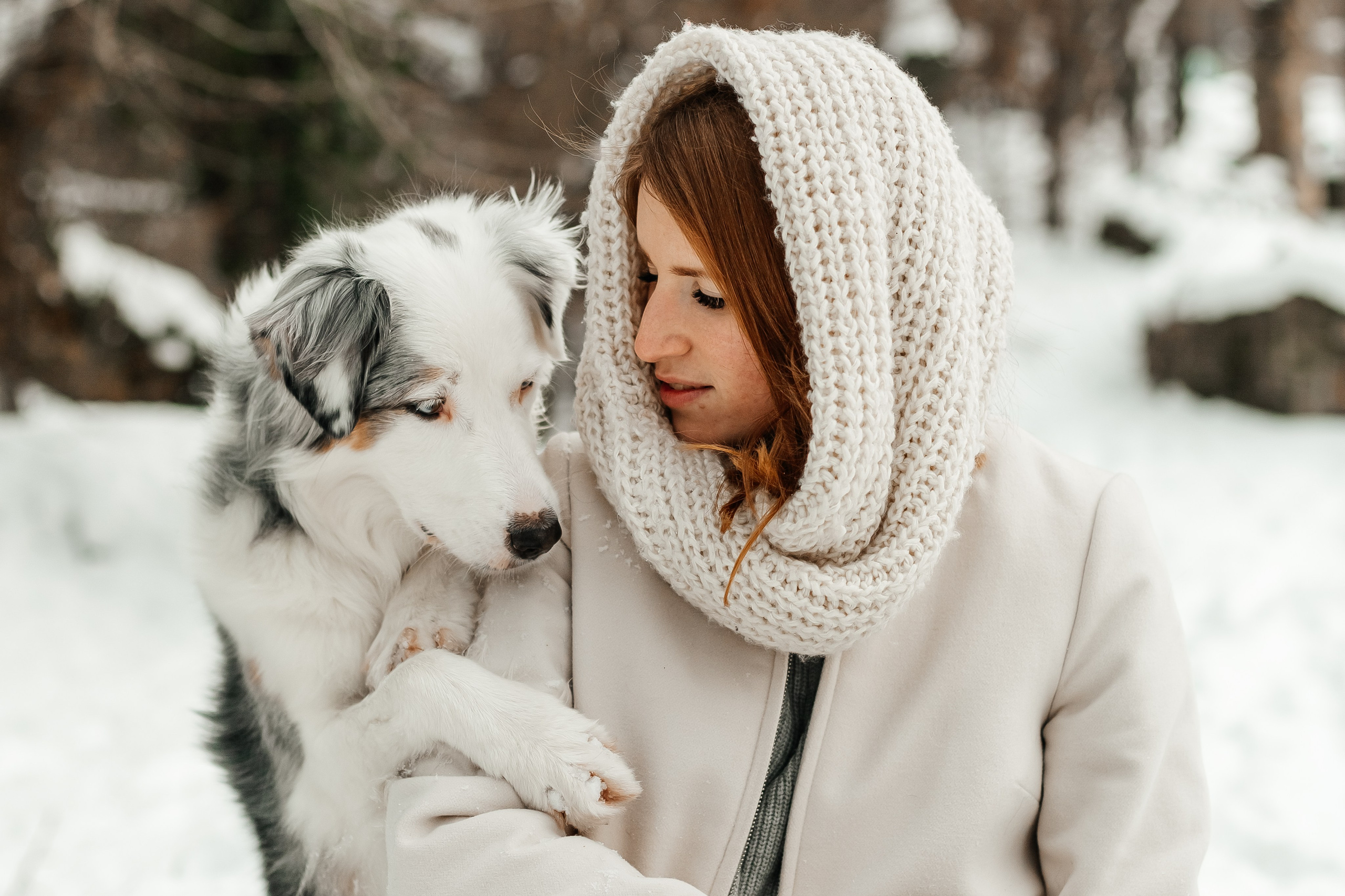 Портфолио2. Фотограф — анималист Маргарита Хелбен Краснодар