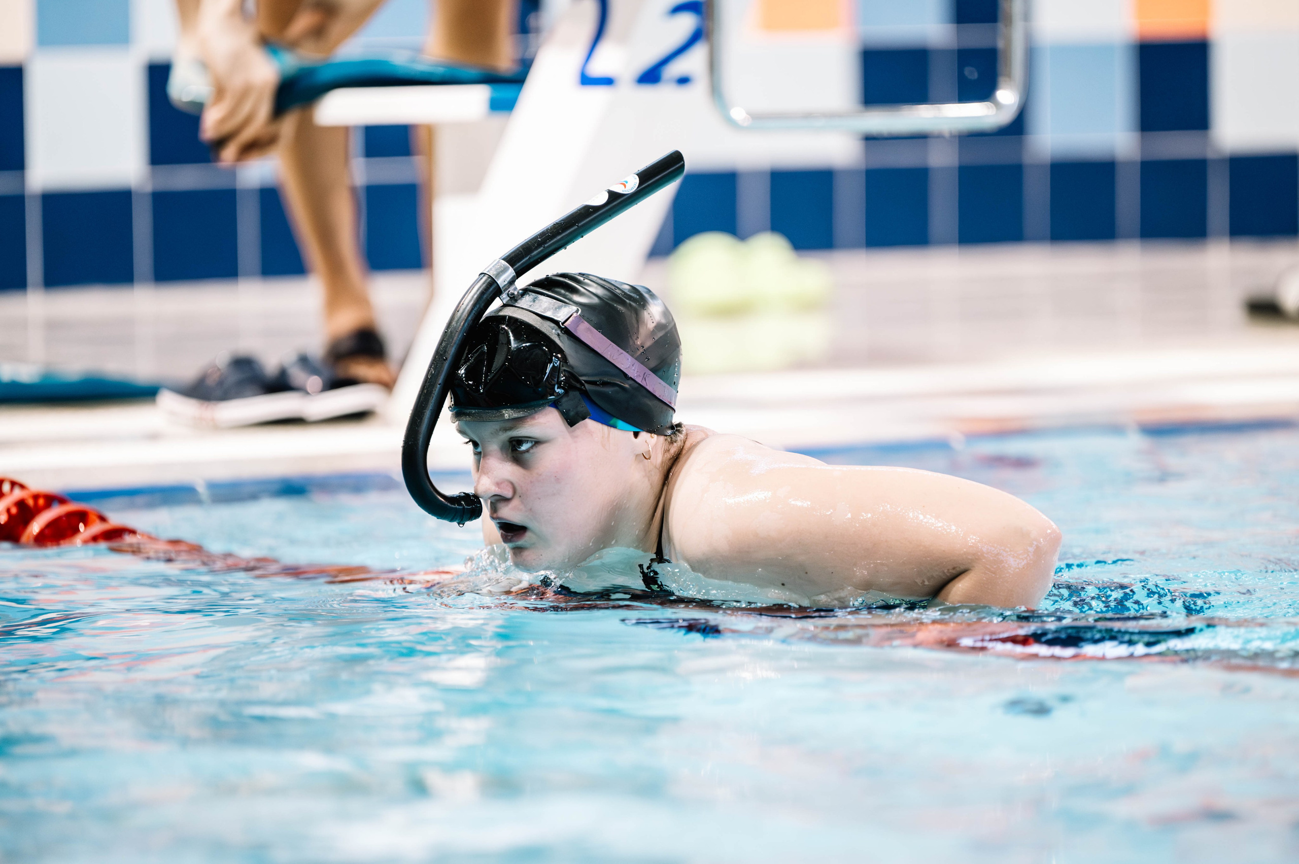 Второй этап кубка плавания ШК Дельфин. Декабрь 2024. Спортивный фотограф в Туле и Тульской области. Файсханова Фото Спорт