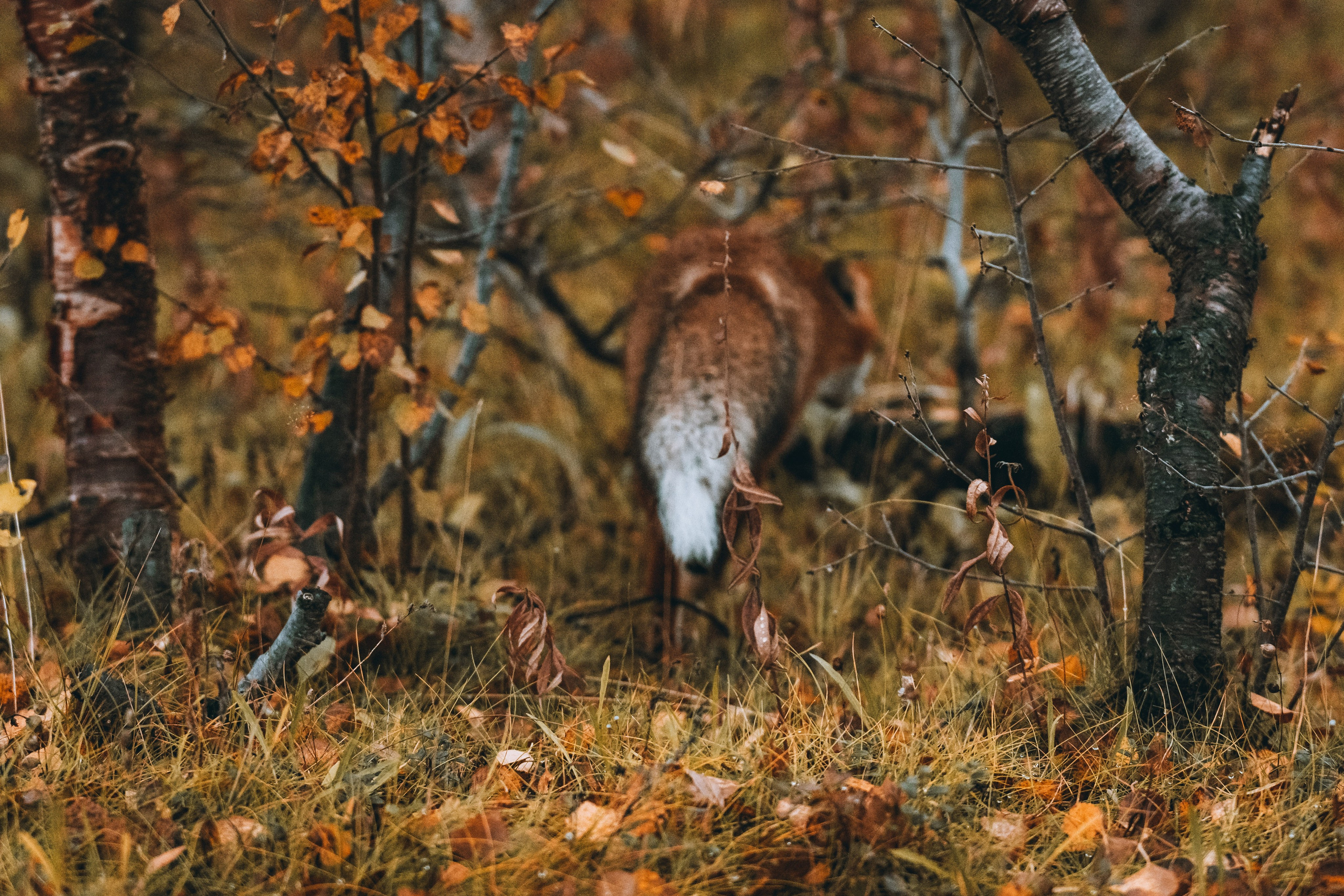 СЕВЕР. Event фотограф Степанова Александра