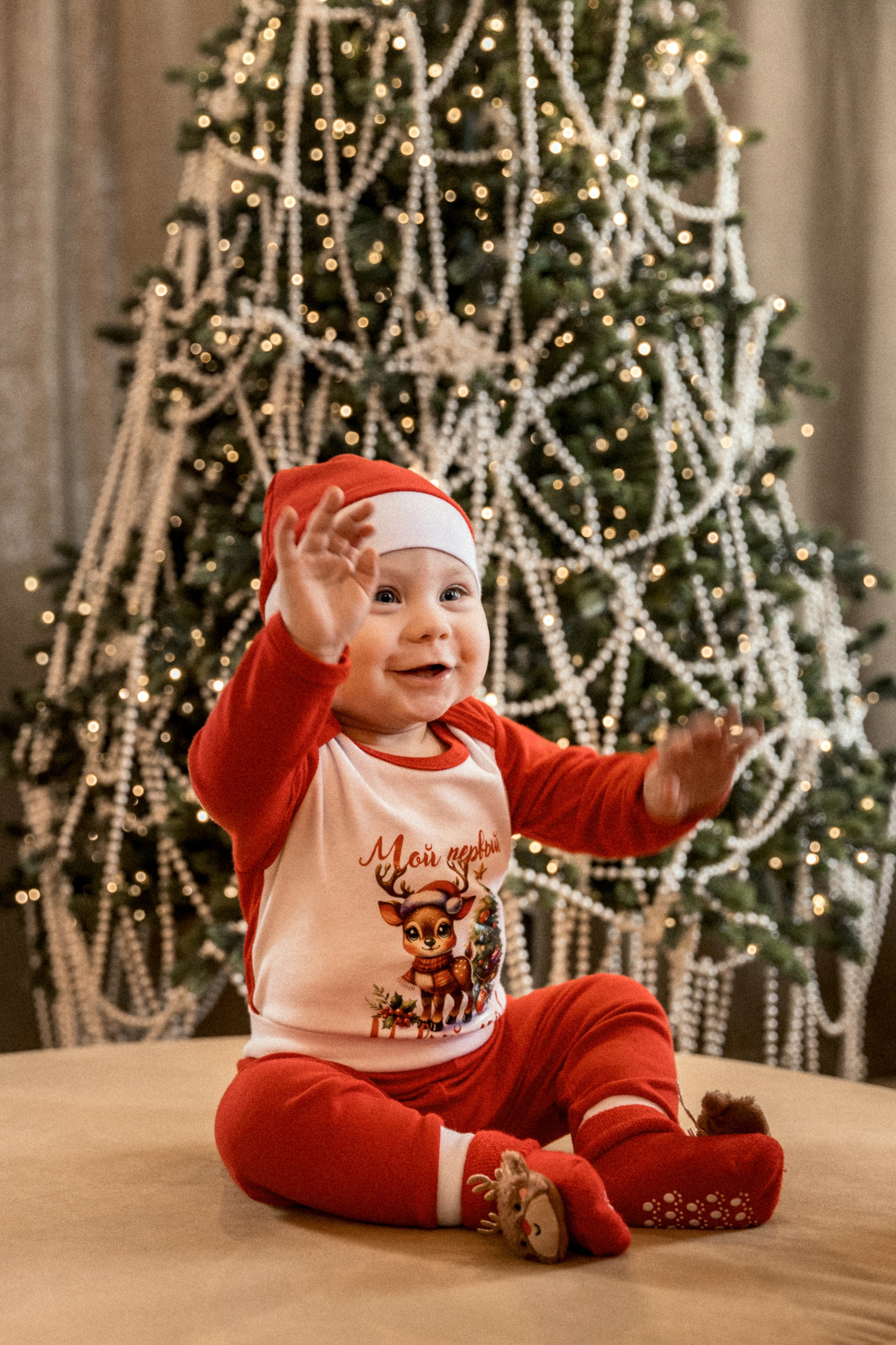 Новогодние. Фотограф Оксана Мамукаева г. Владикавказ