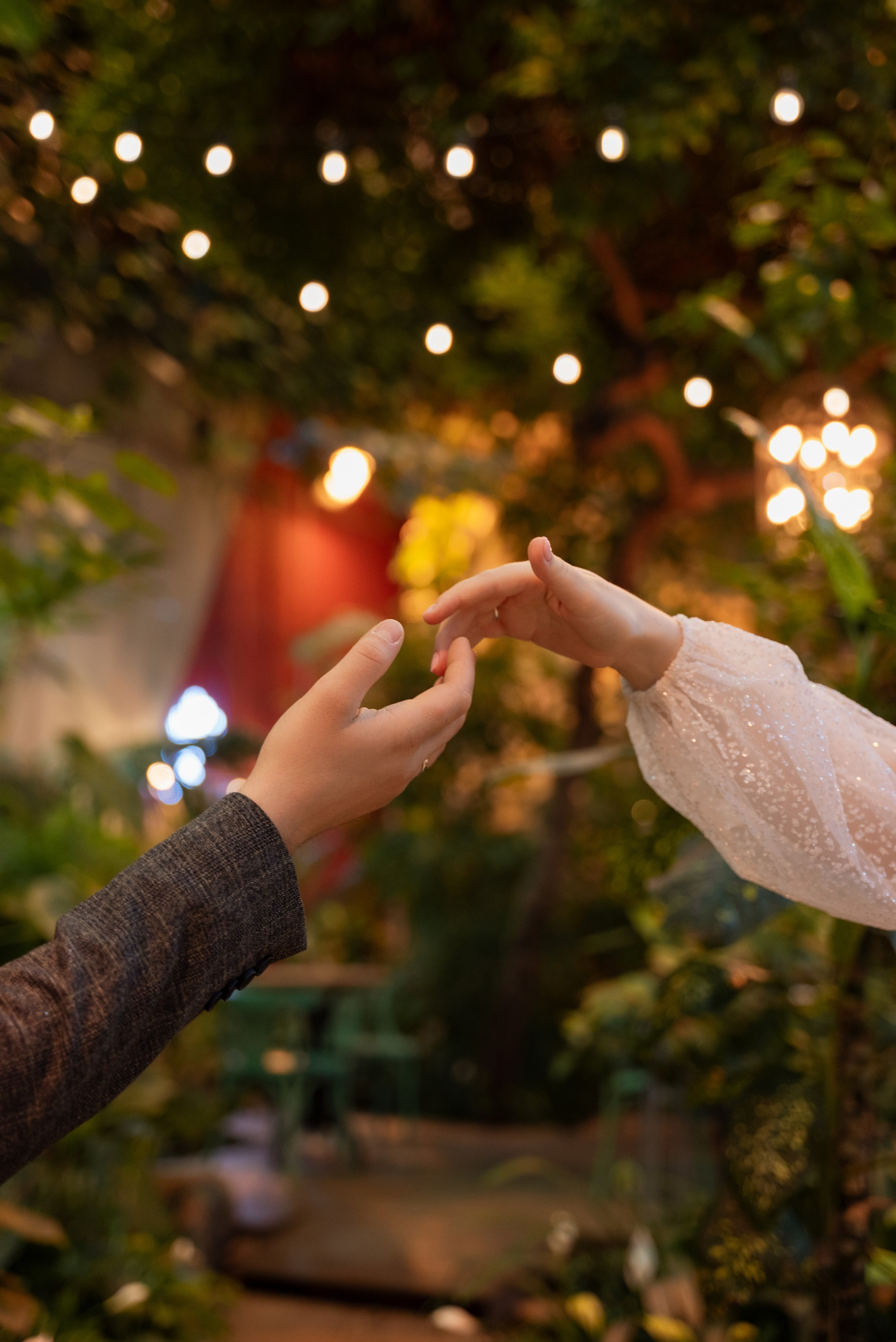 Алина и Денис | 14.12.23. Свадебный фотограф в Санкт-Петербурге Владислава Тюльпина