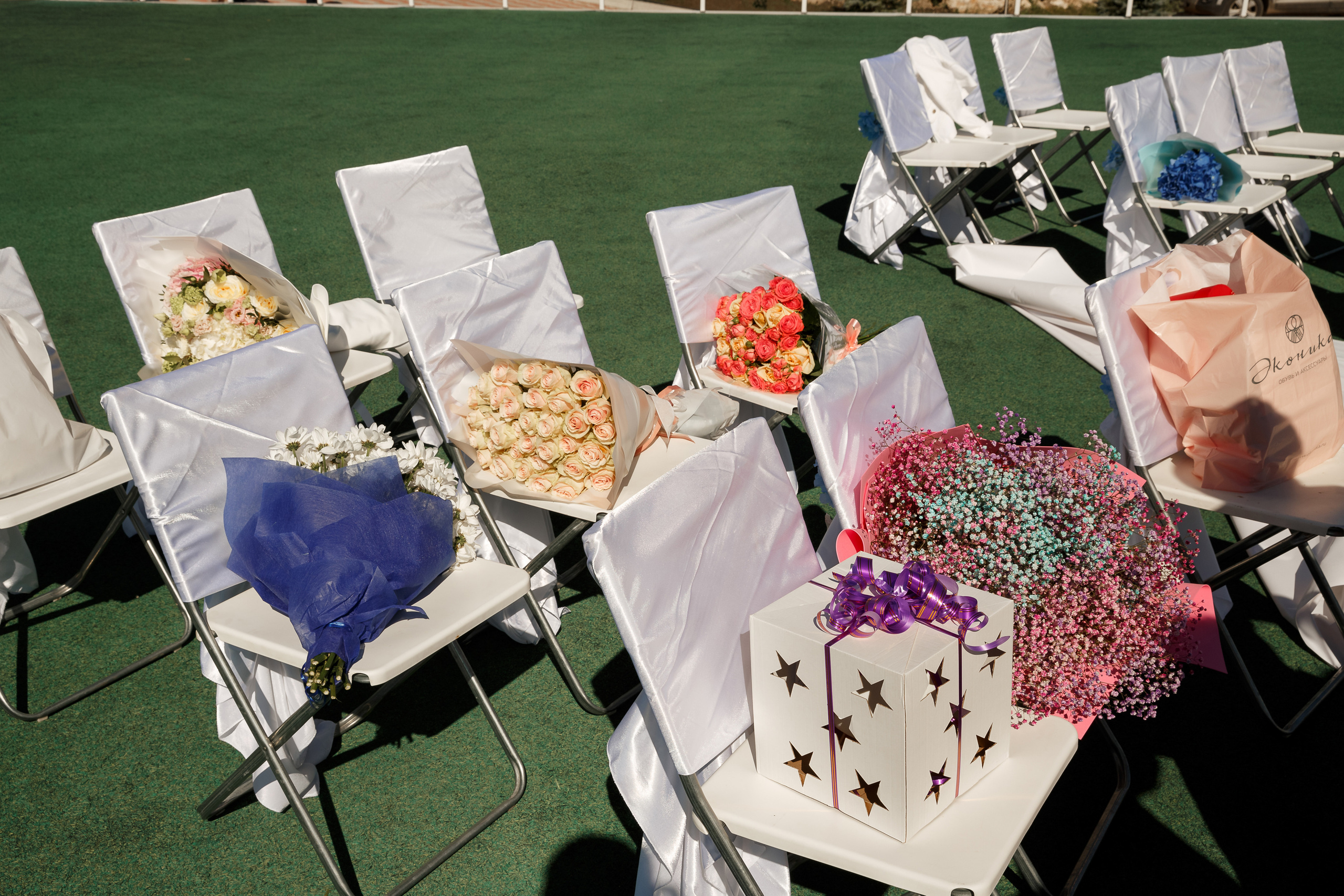 Алёна и Александр