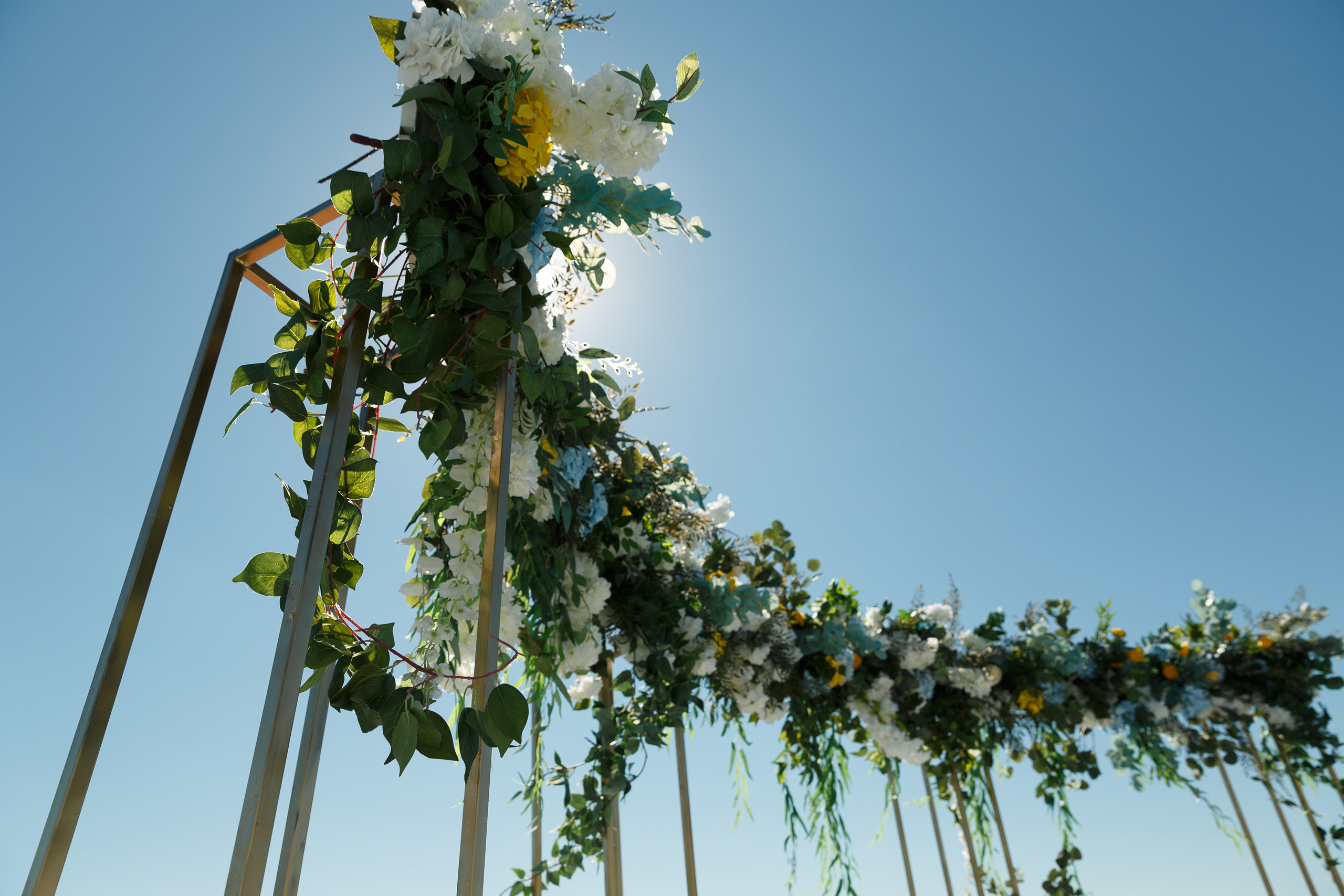 Алёна и Александр