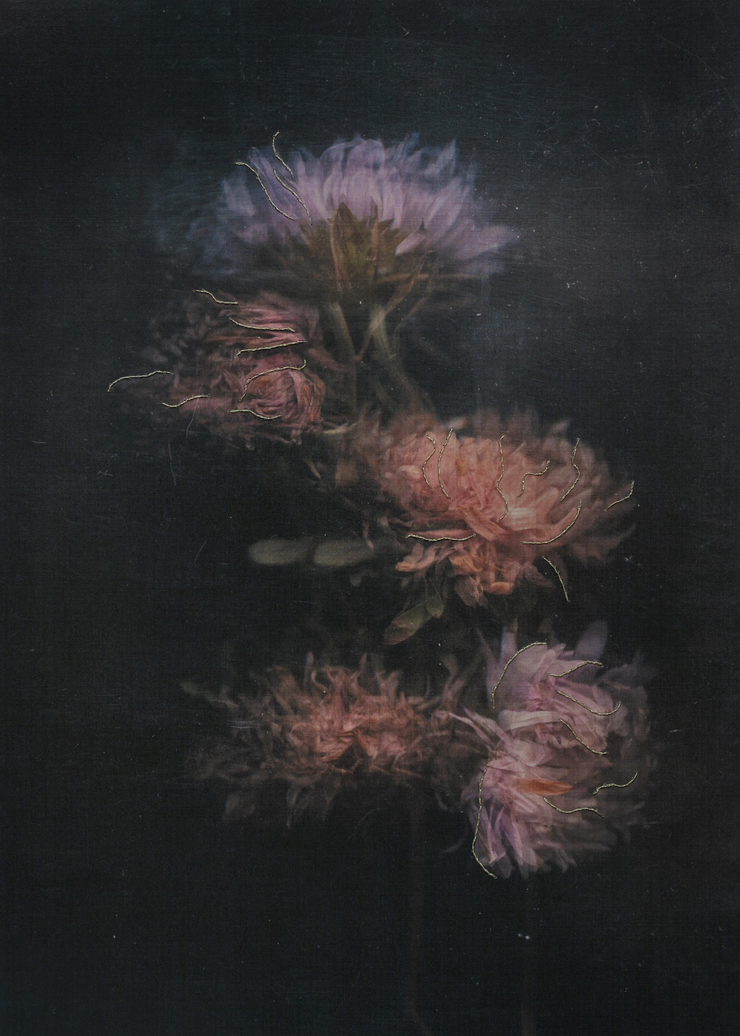 Призрачные узоры. Фотограф Елена Хазина, Рязань