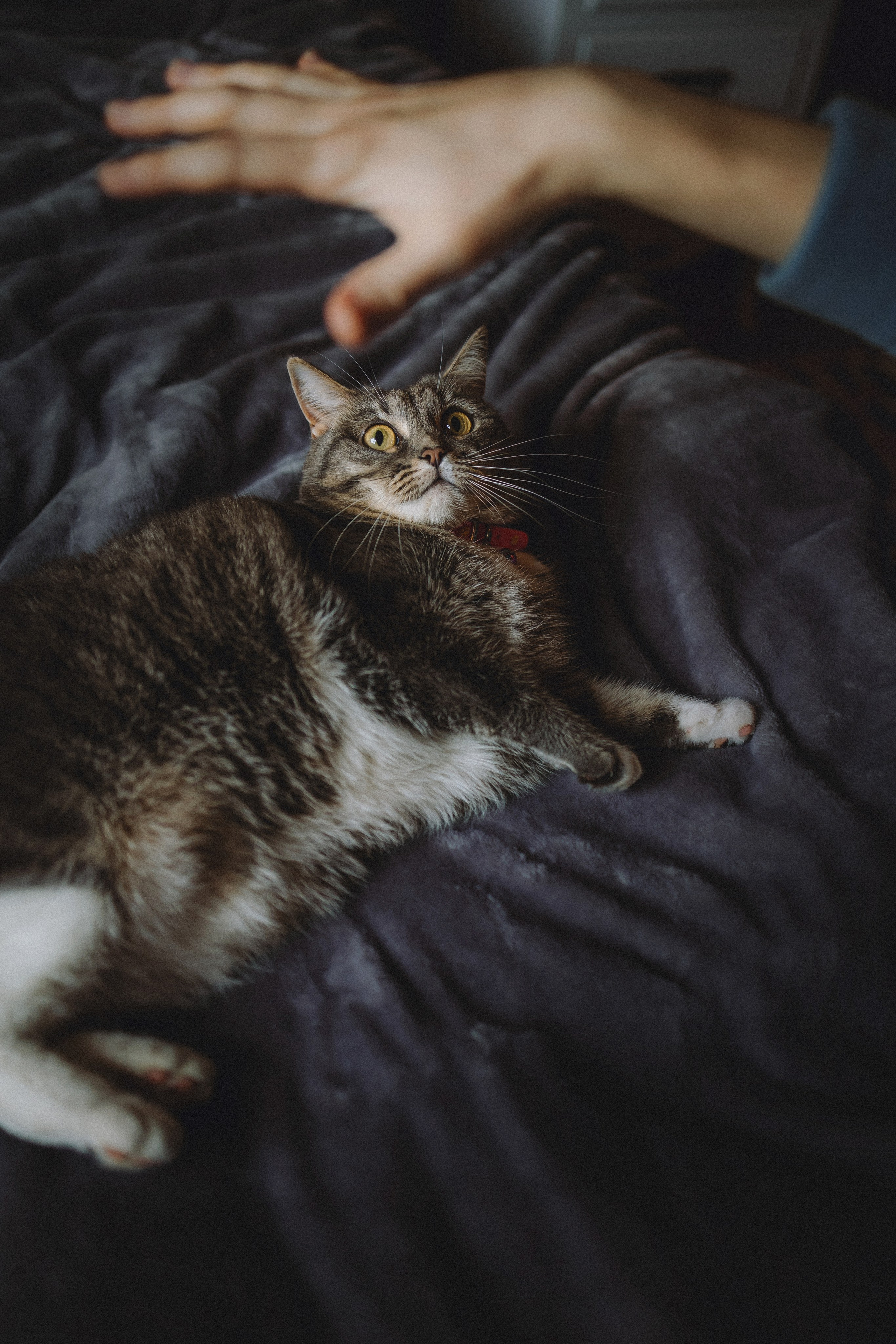 Леброн, Муся и их семья