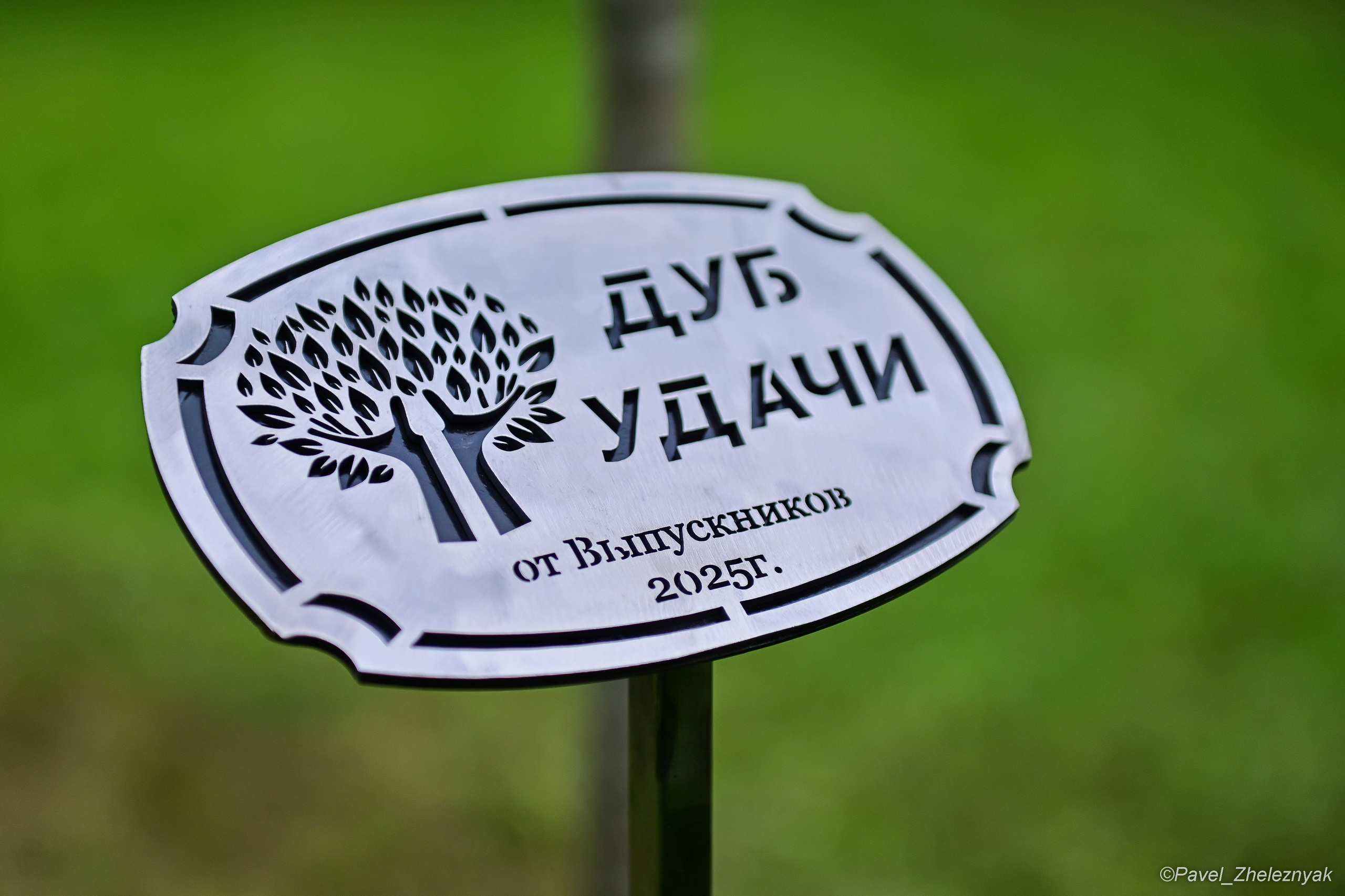 Школьные праздники. #БегающийФотограф