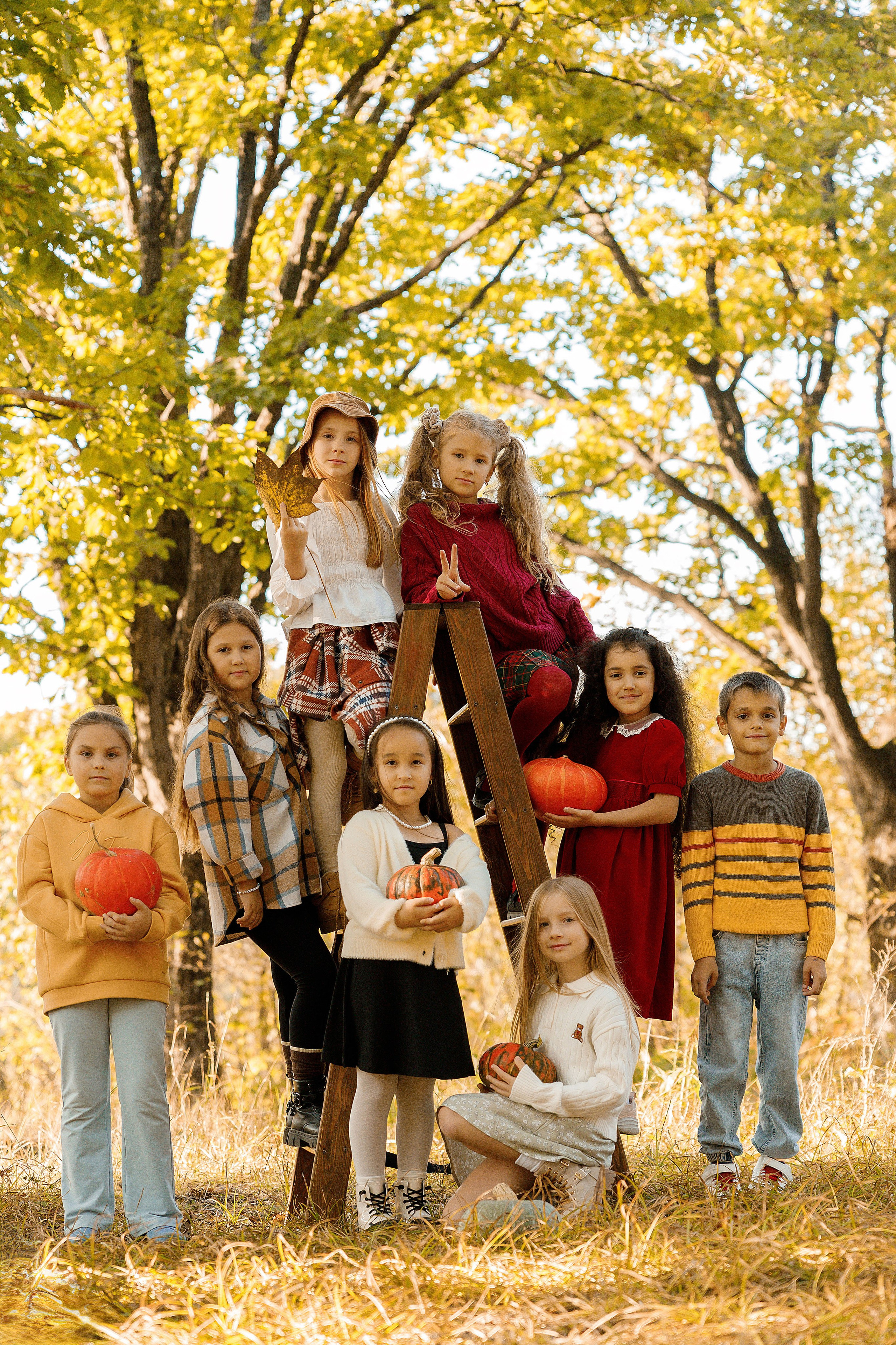 Осень Гимназия 2 класс. Photoalbum-vl.ru