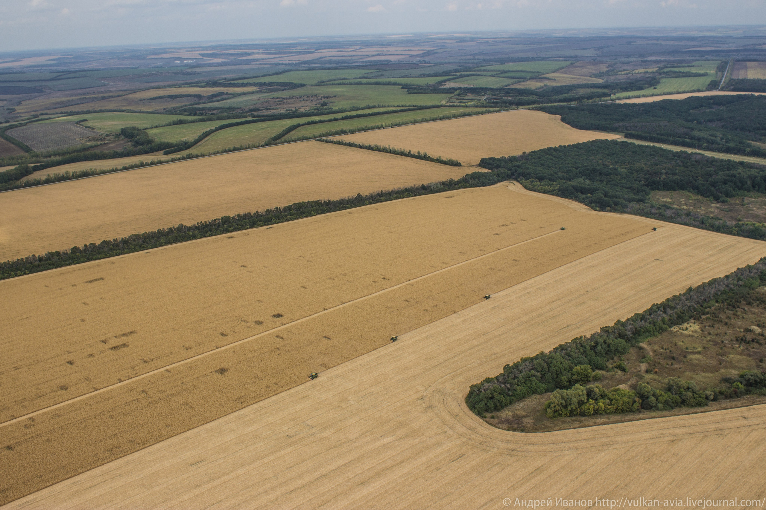 Волгодонск аэр. Потапов слёт «Небо для всех» (2021 г.). Фотоальбом показывающий увлекательный мир авиации и мир медведей Андрея Иванова